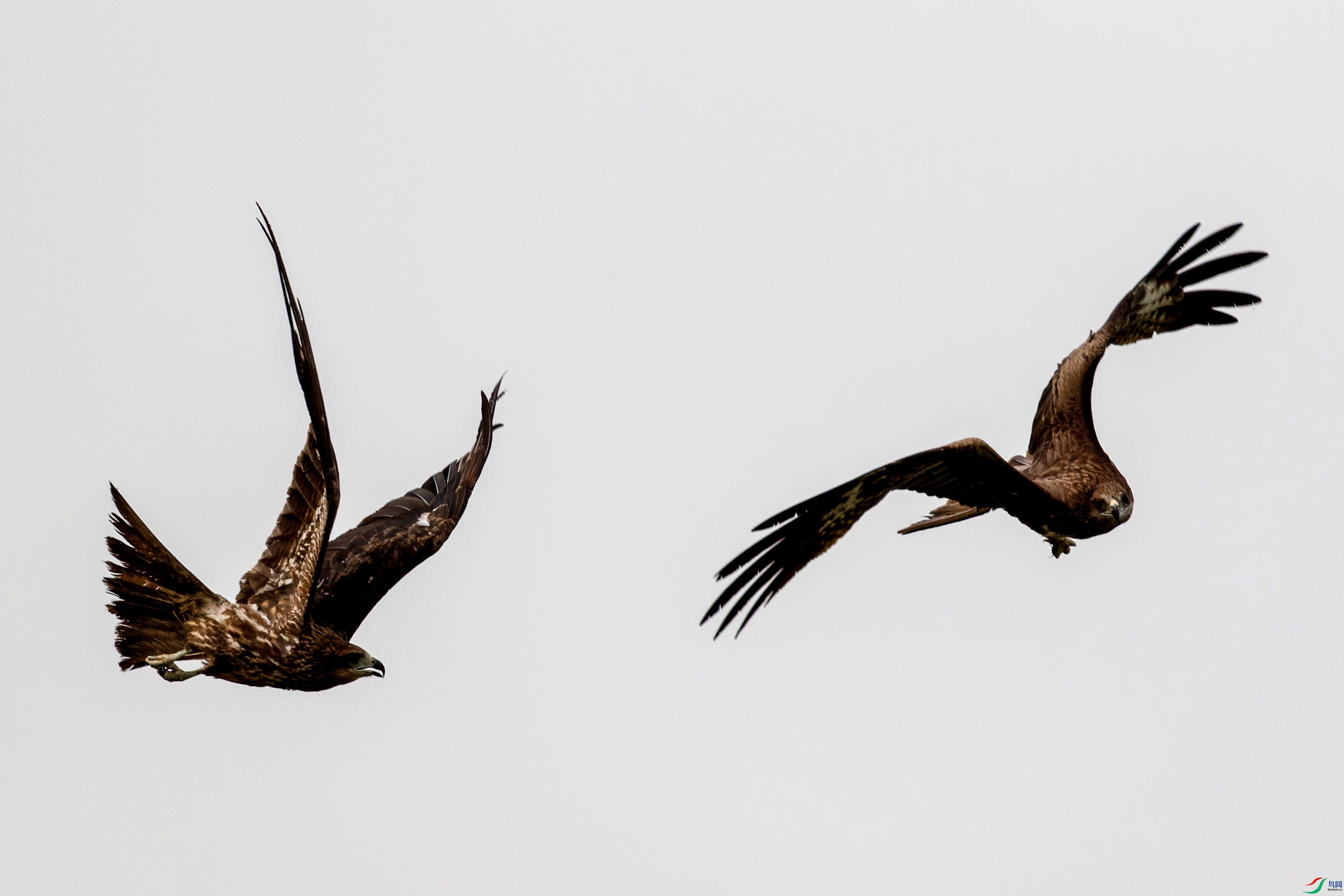 7D2_9526-CR2_DxO_DeepPRIME-1.jpg
