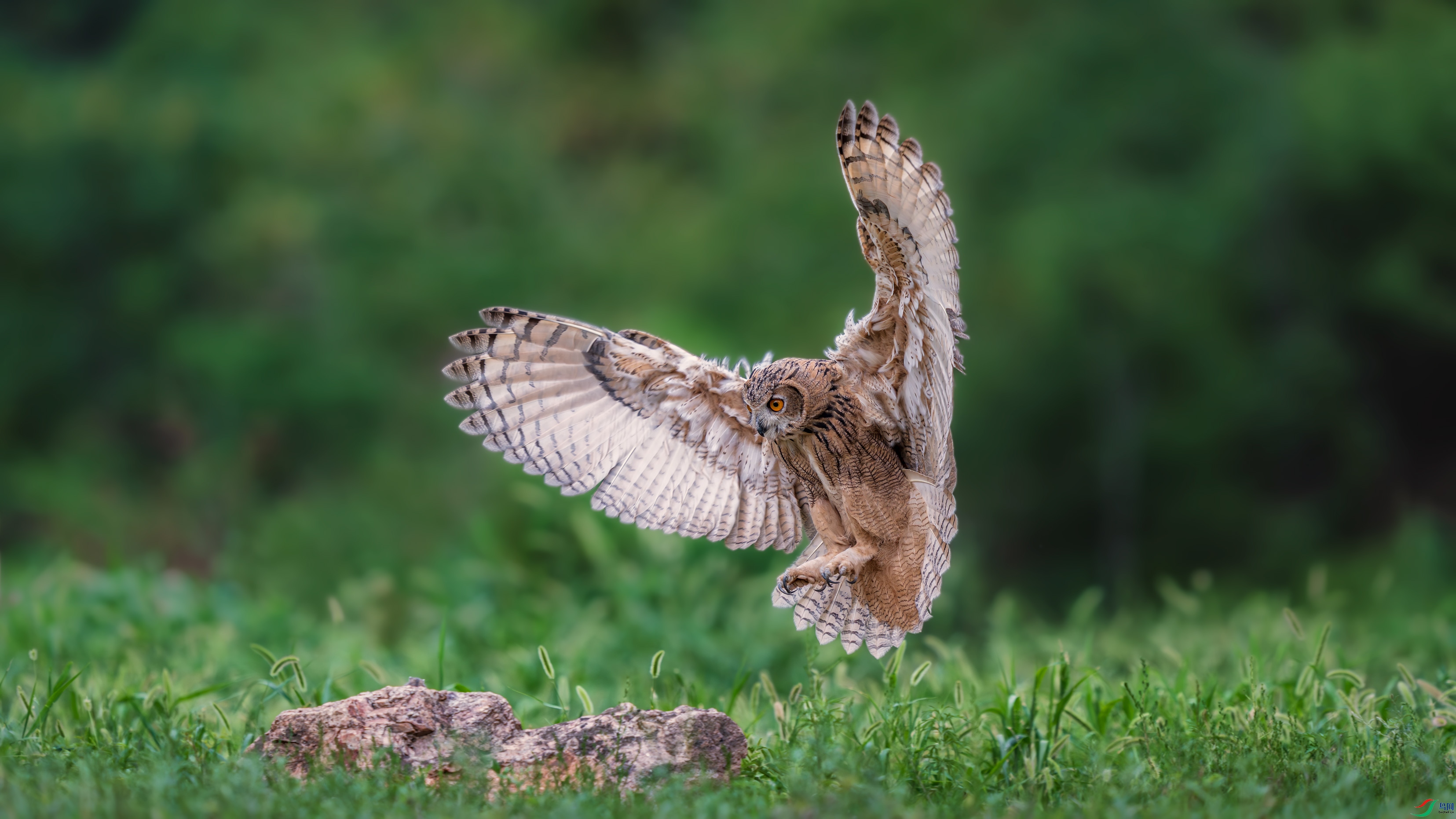 a_DSC3930_����.jpg