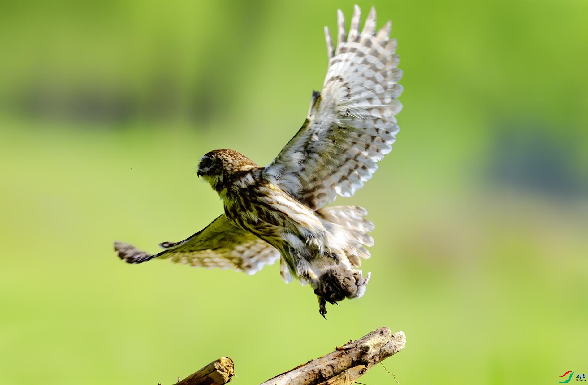 ����֮��