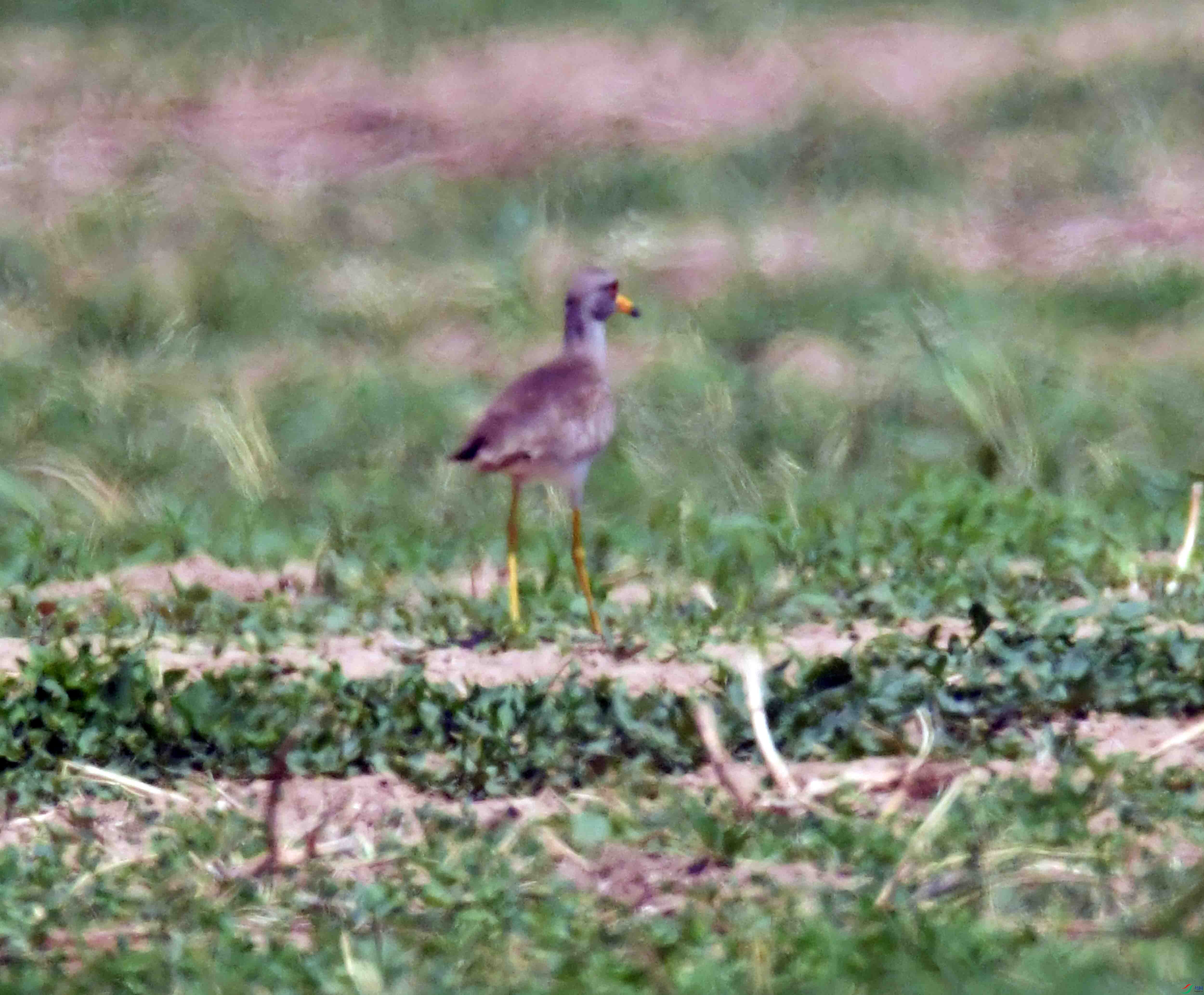 DSC_0291.JPG