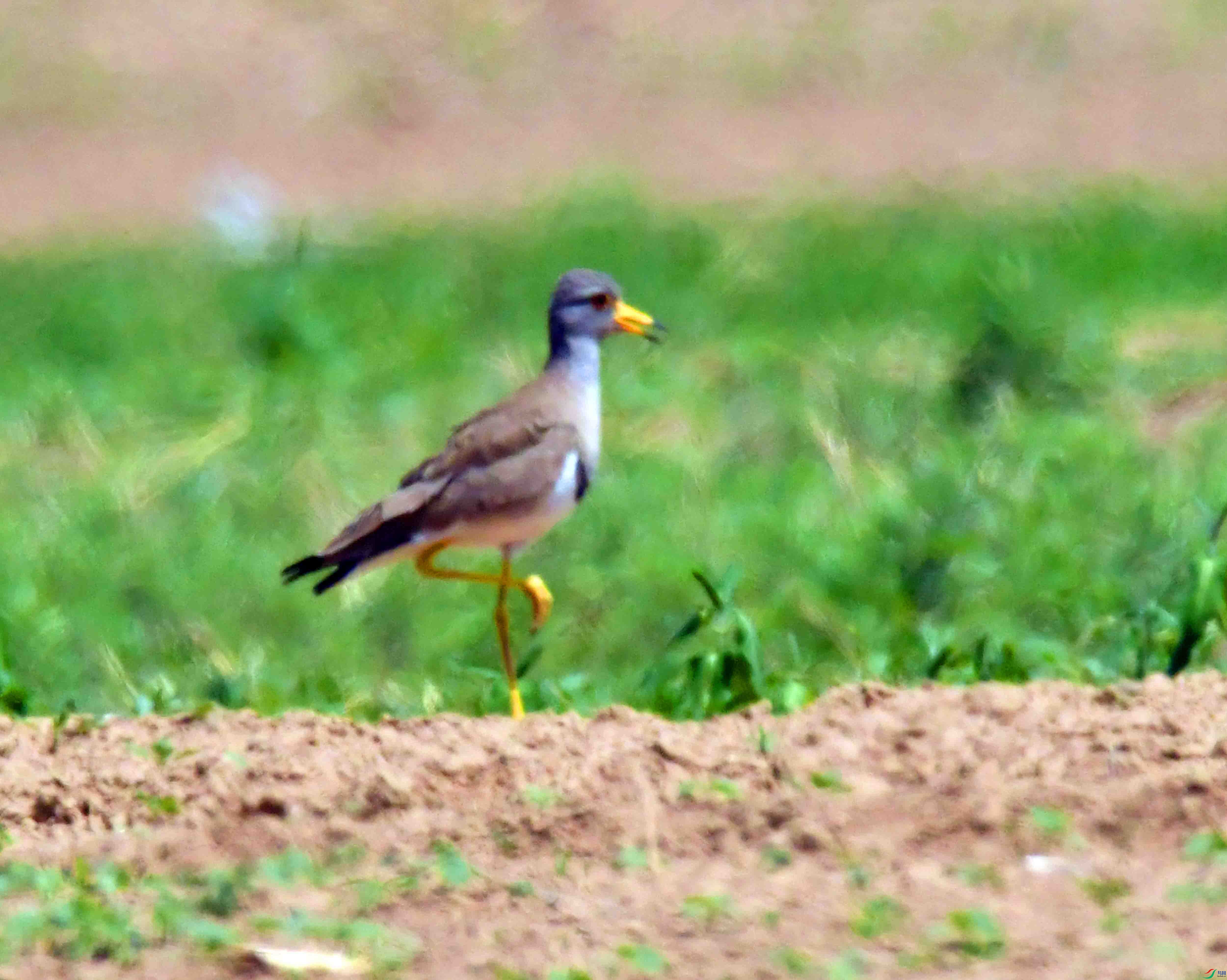 DSC_0357.JPG