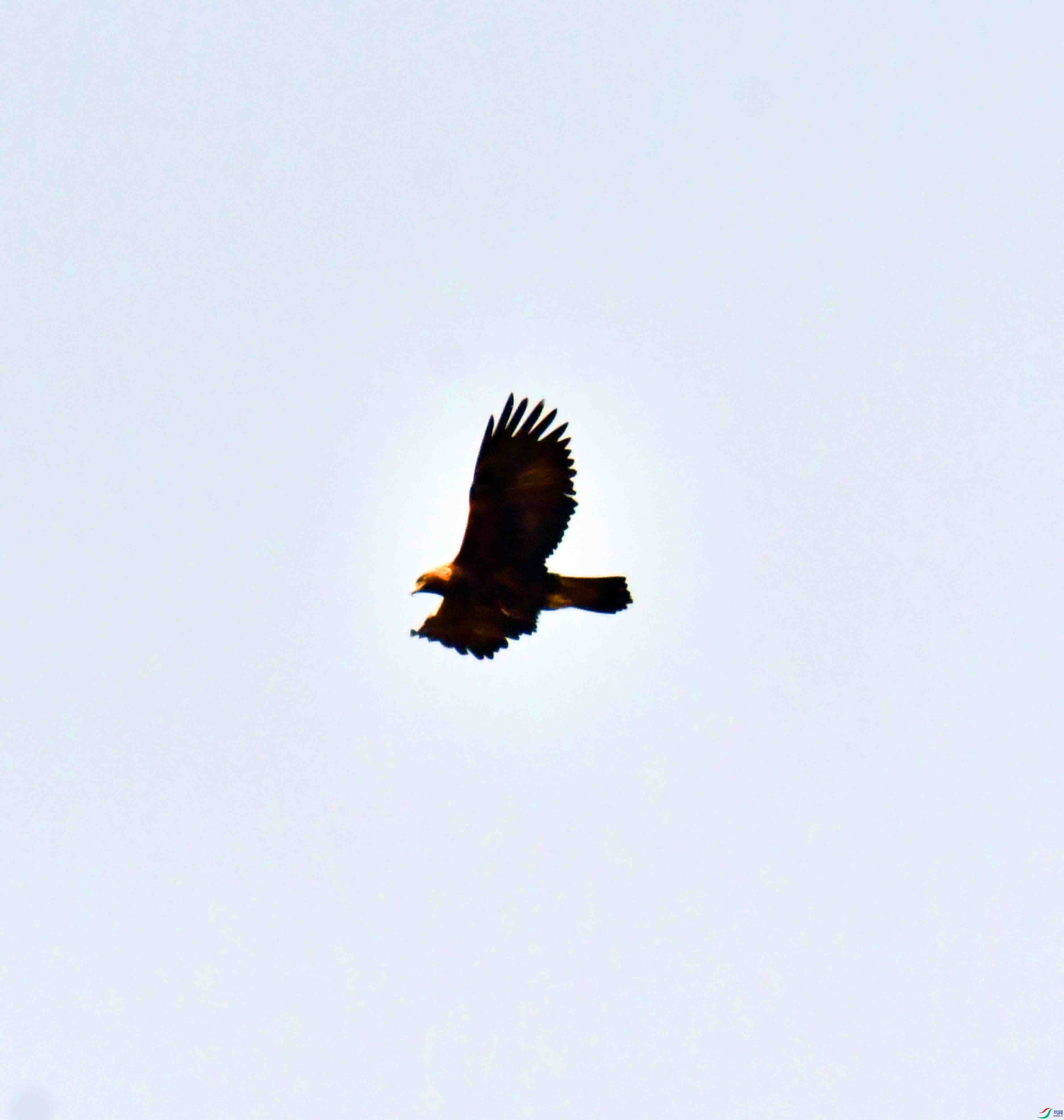 DSC_8599.JPG