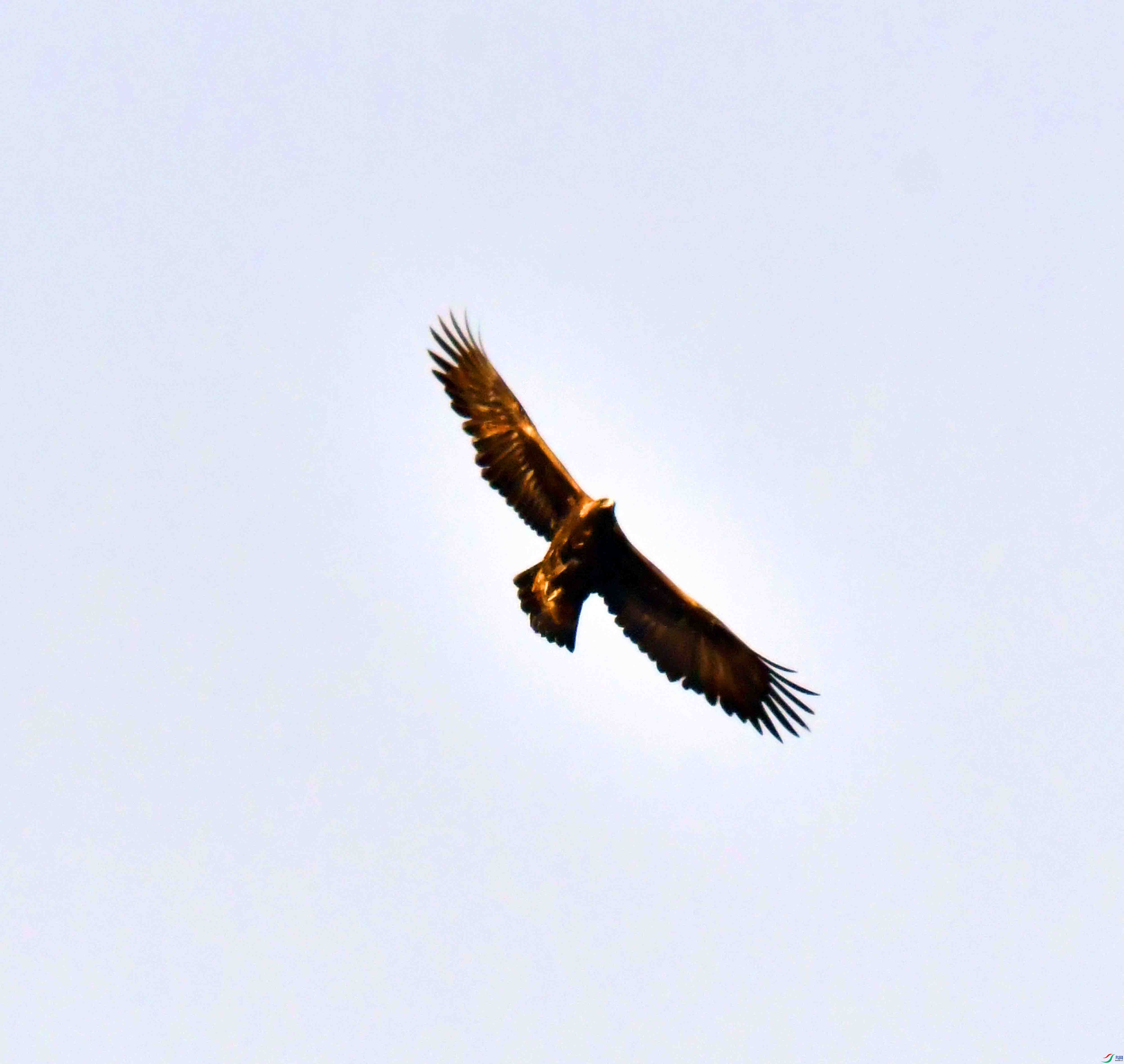 DSC_8645.JPG