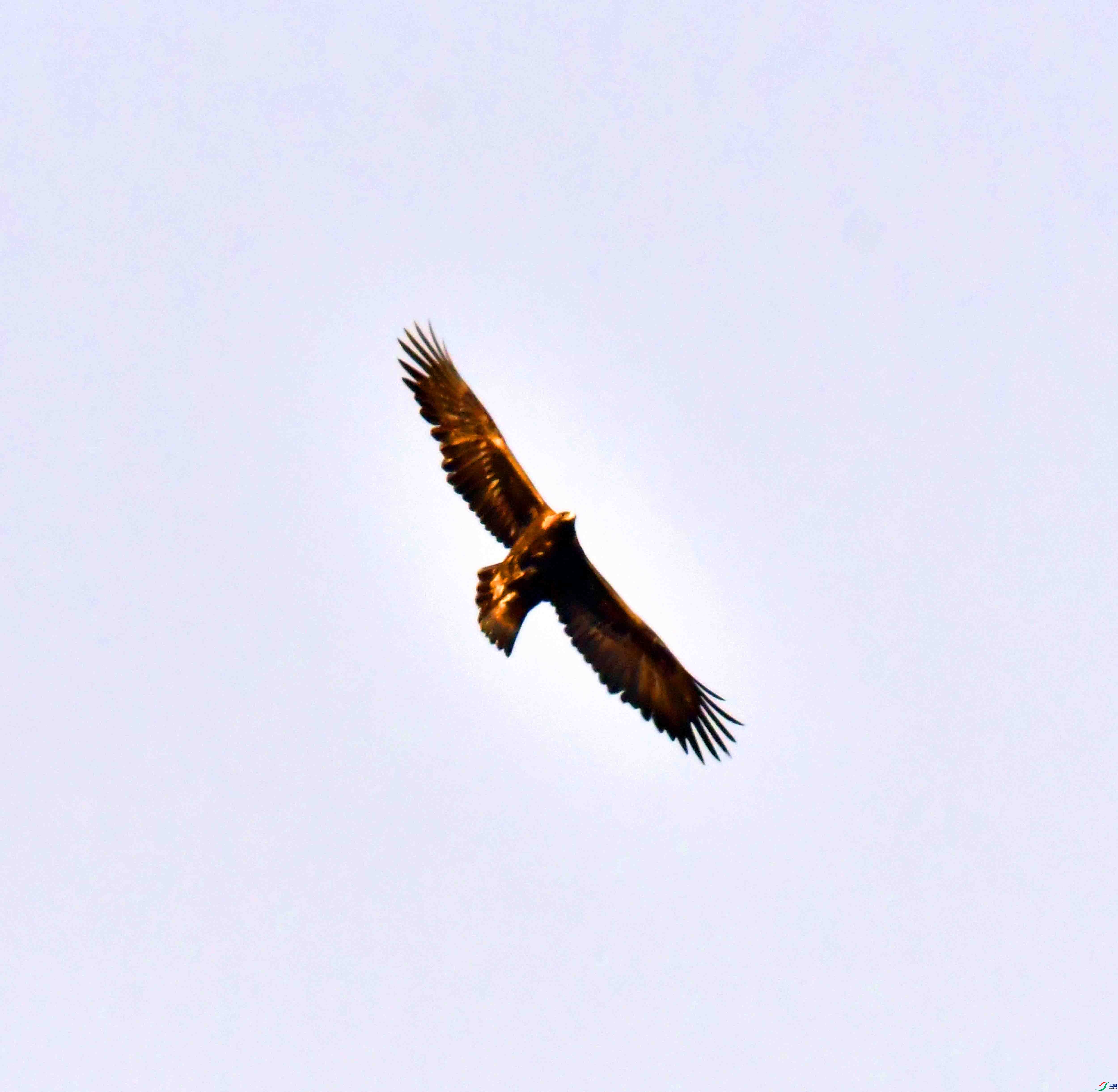 DSC_8646.JPG
