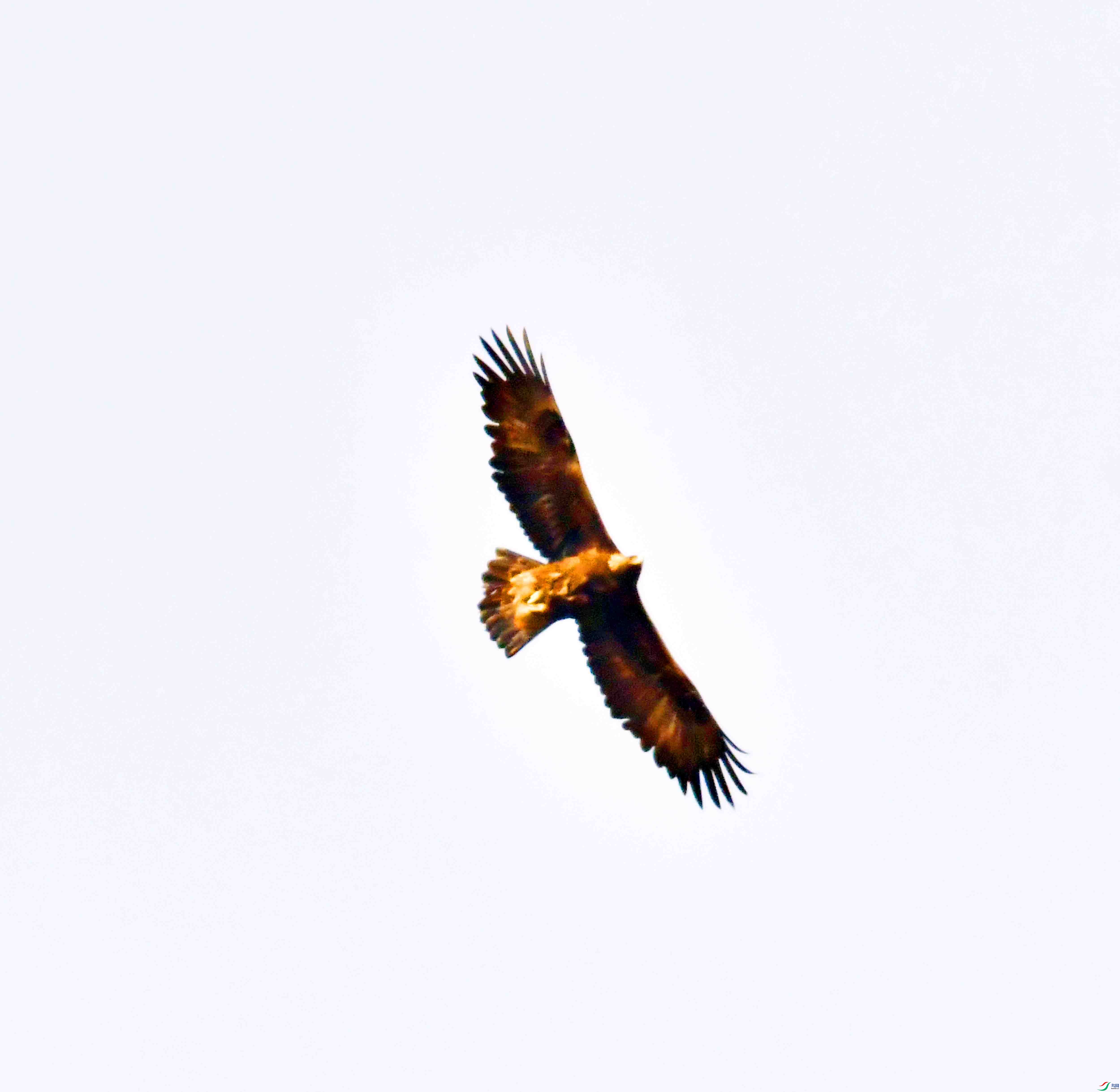 DSC_8647.JPG