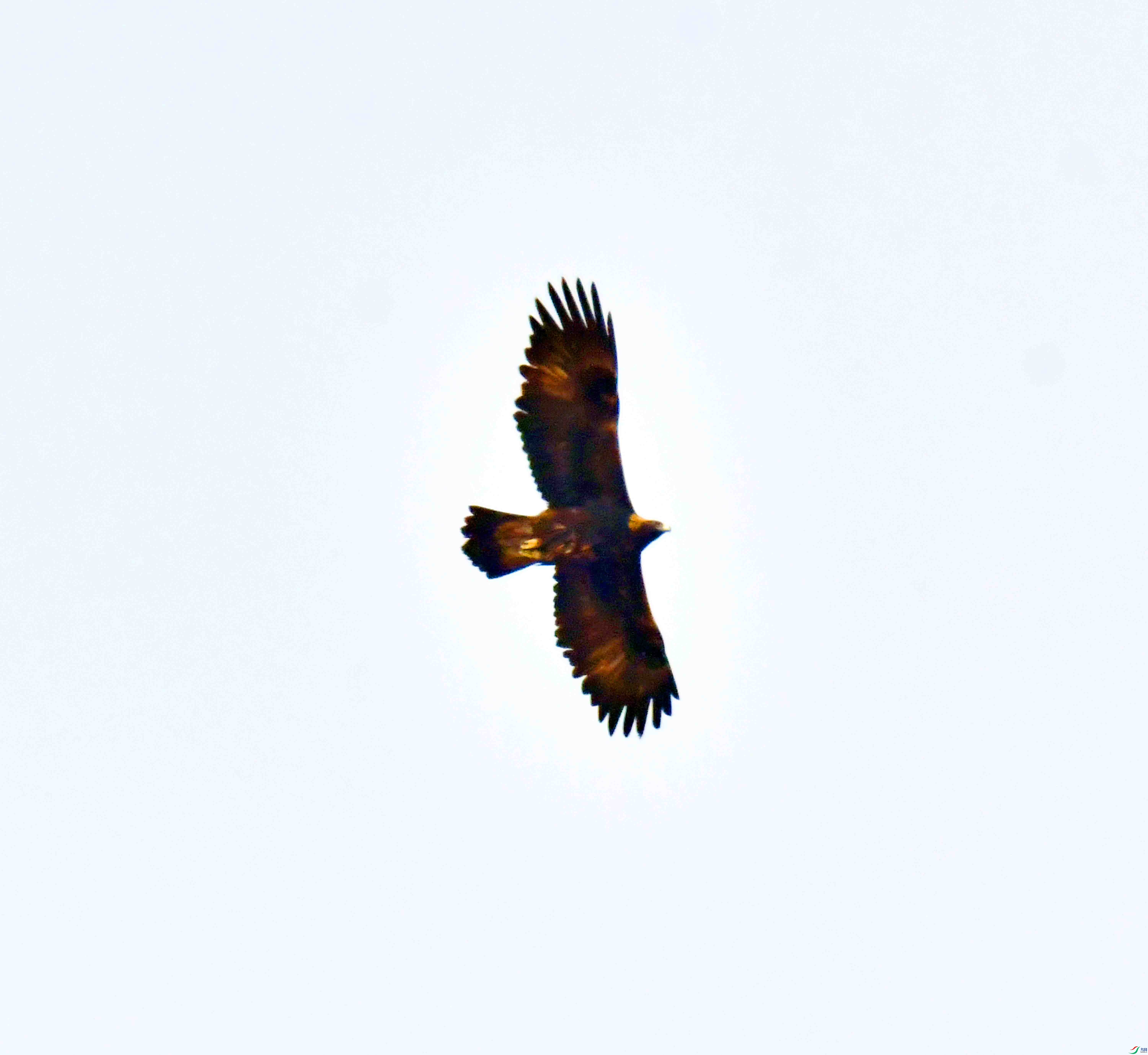 DSC_8651.JPG