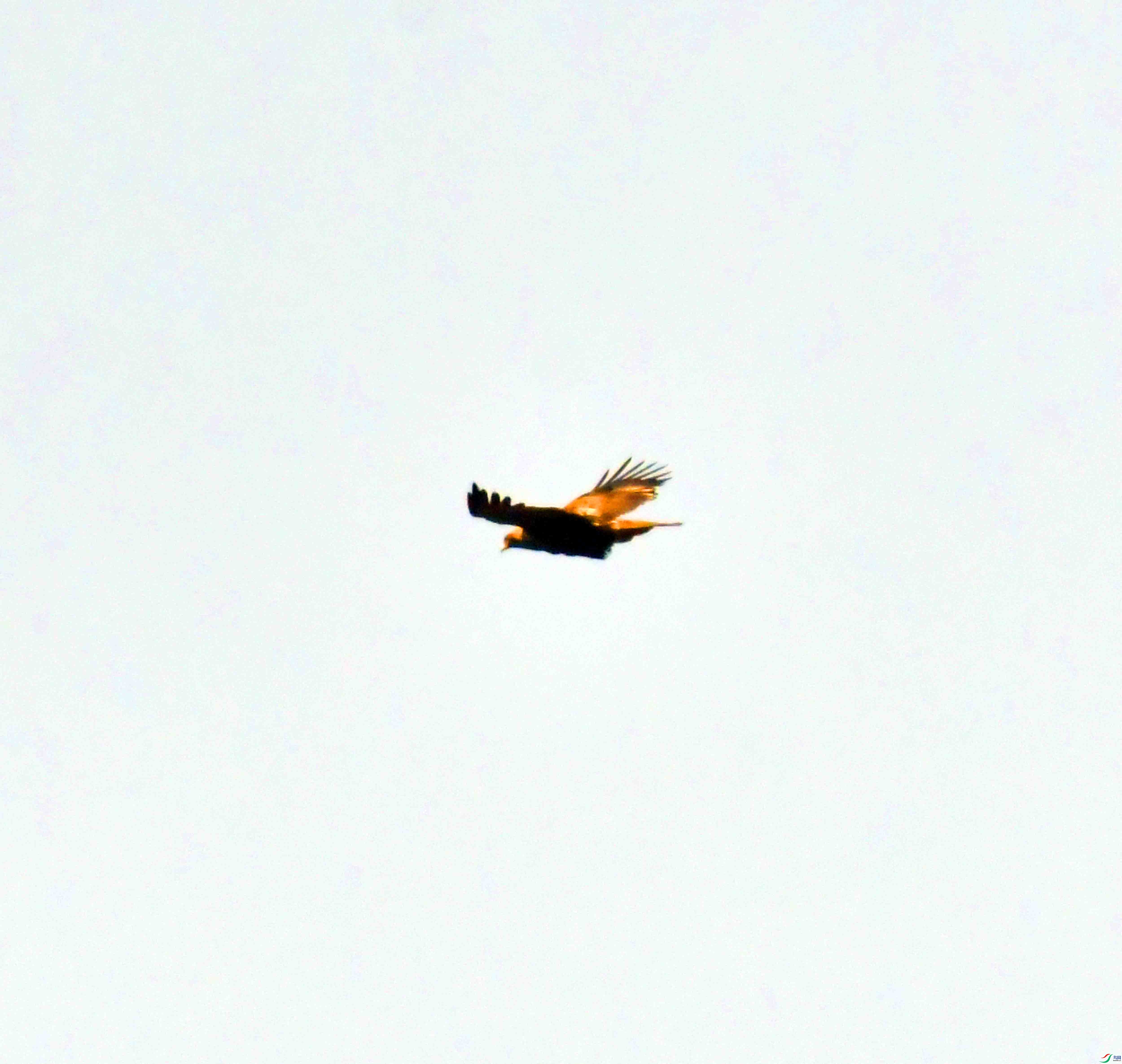 DSC_8664.JPG