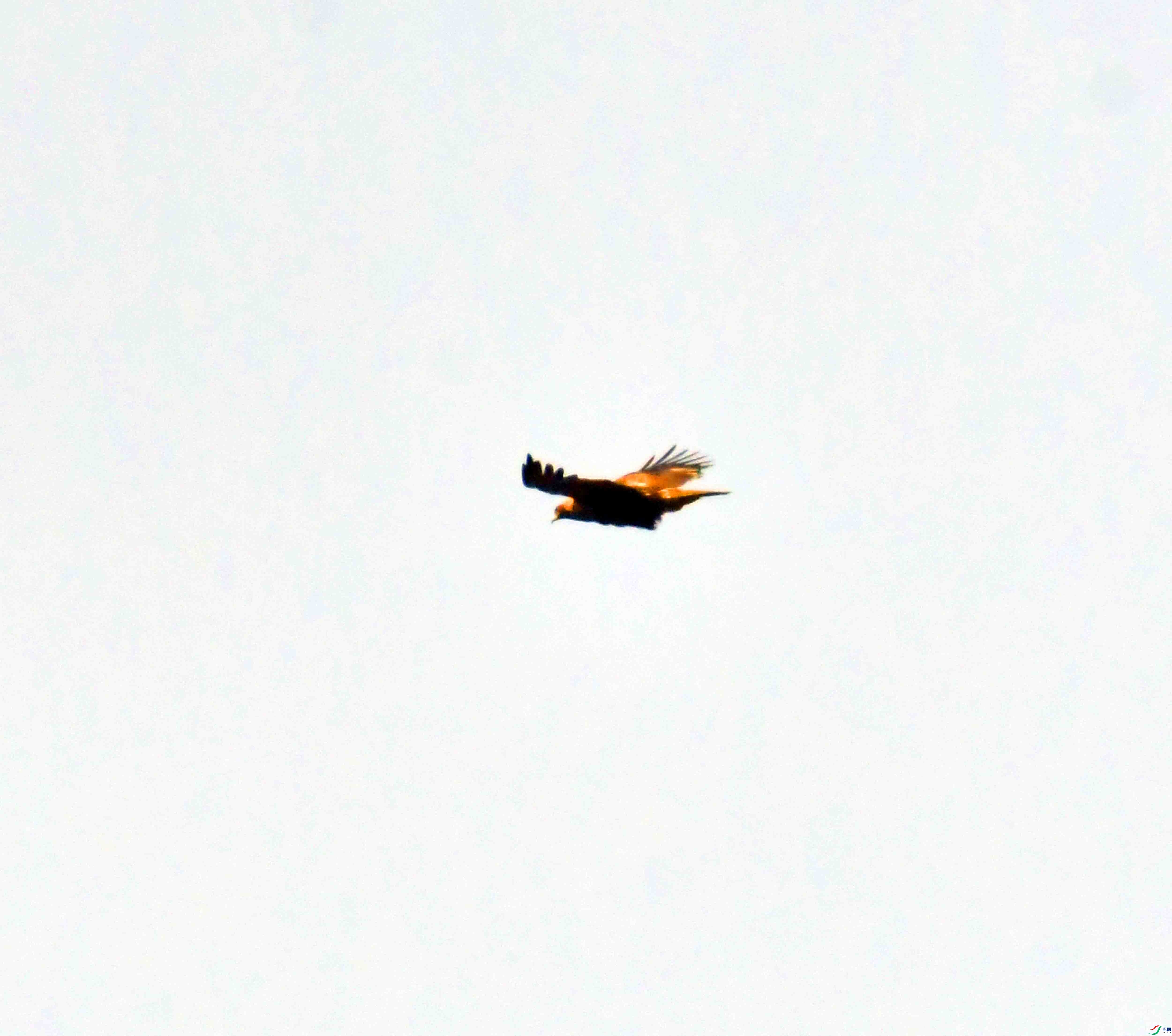 DSC_8665.JPG