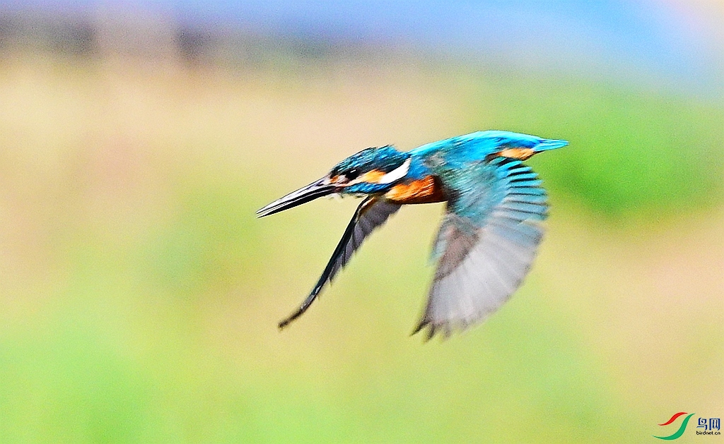 DSC_4044.JPG