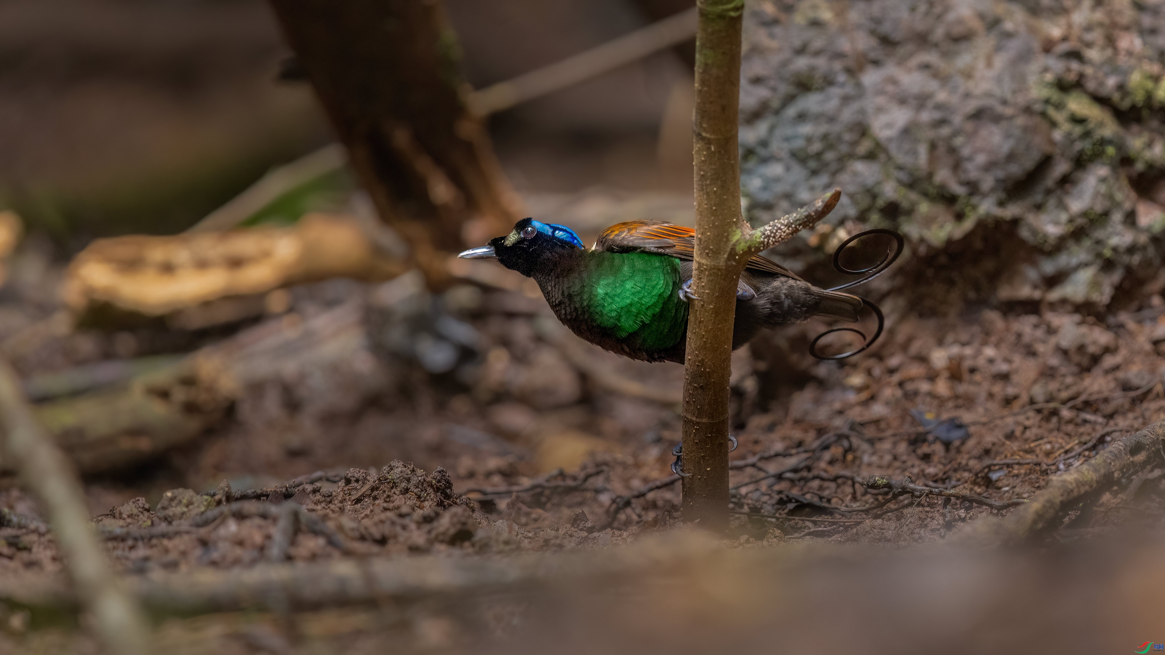 ���ϼ����� (2).jpg