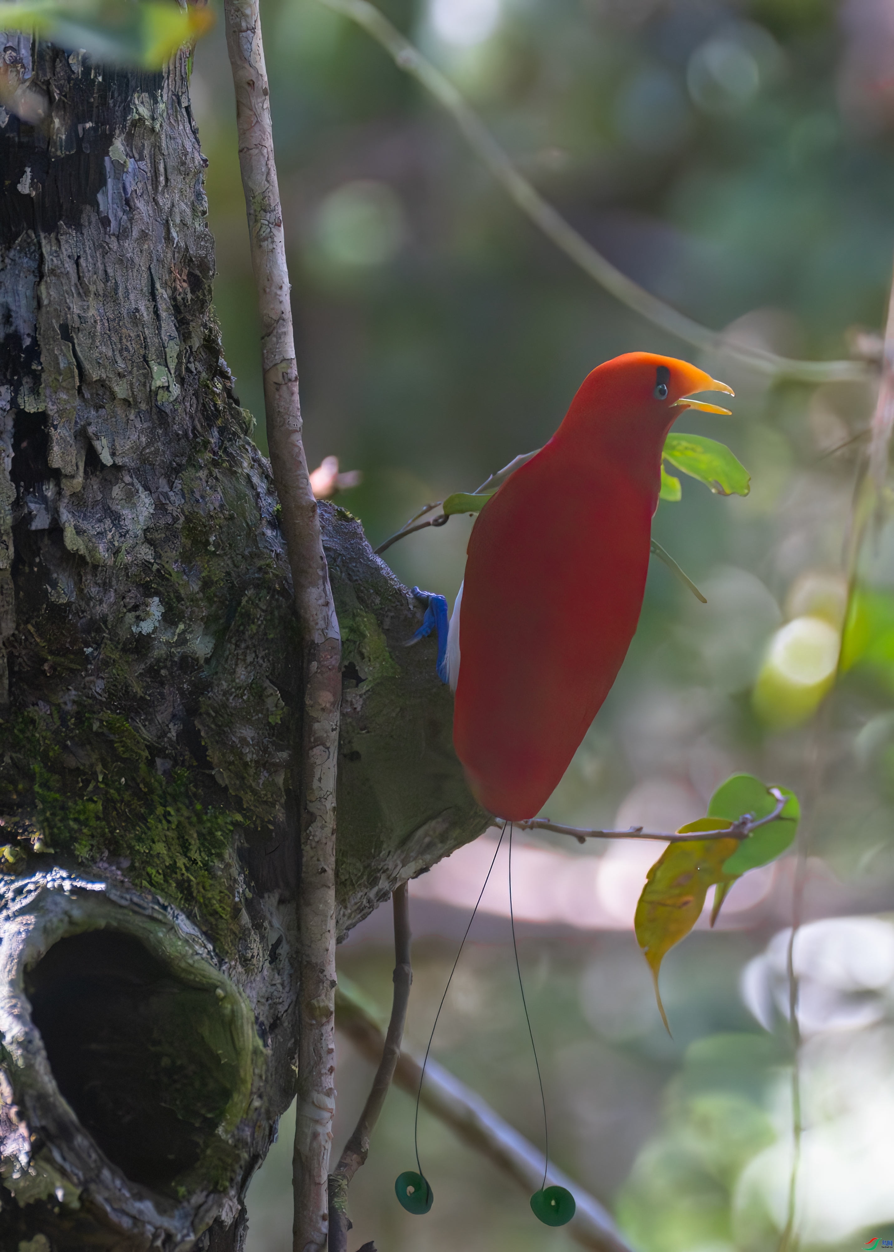 �������� (2).jpg