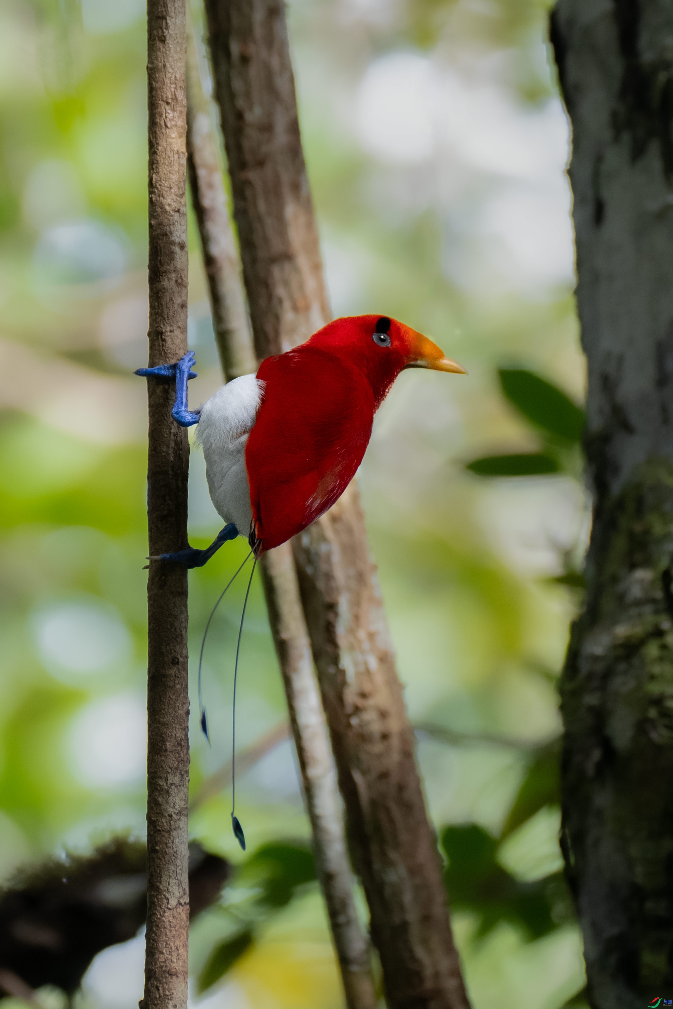 �������� (3).jpg