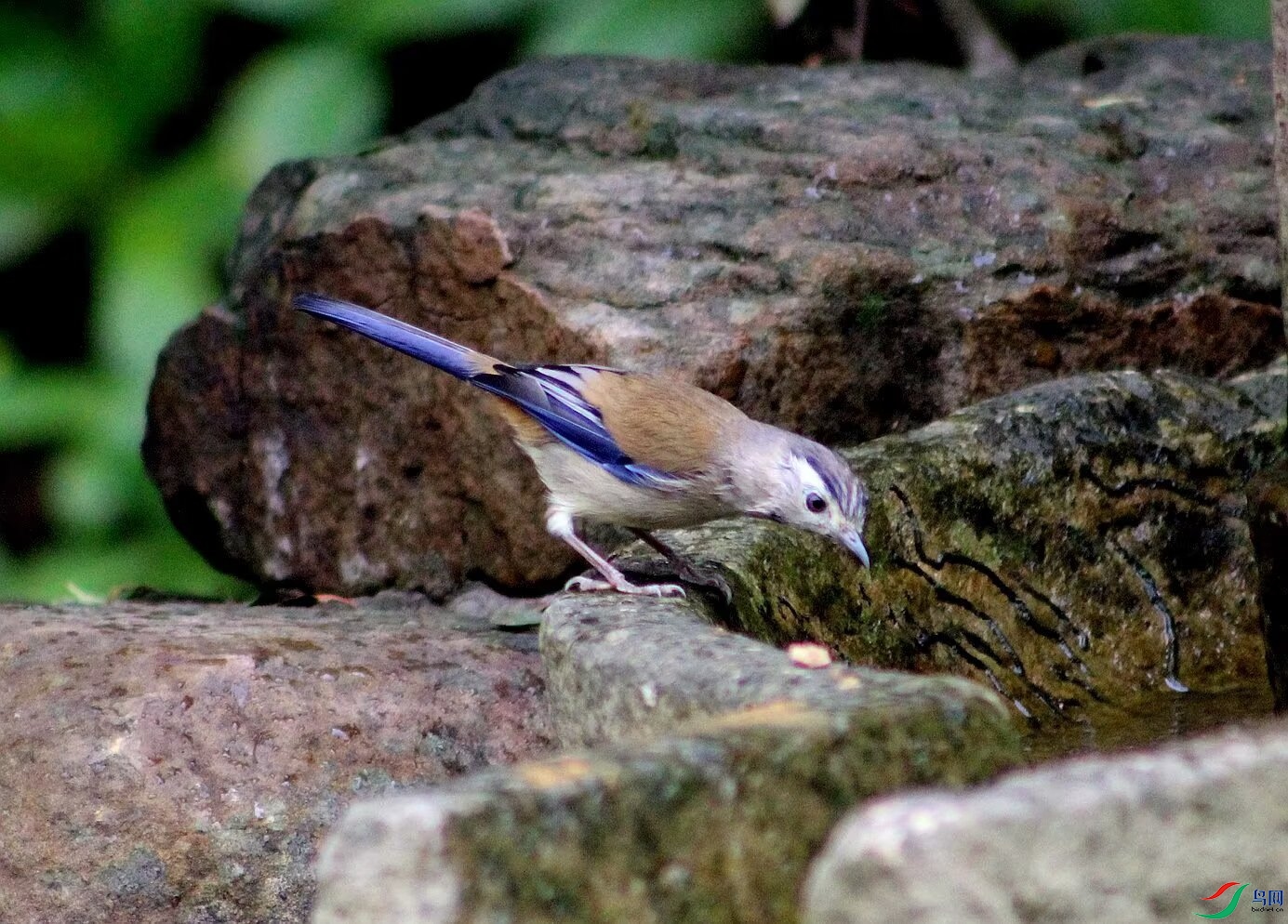 Image_1748583156475.jpg