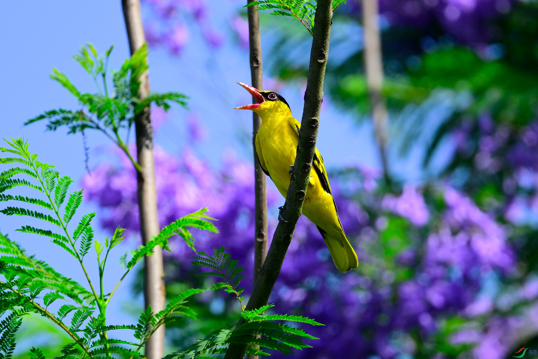 _DSC4111x.jpg