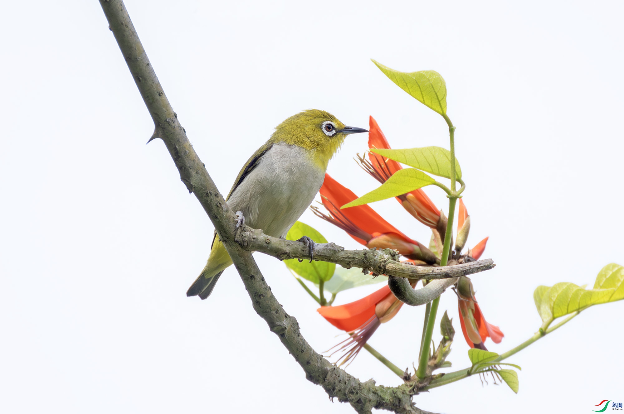 2I1A3650-����ǿ-NR ����.jpg