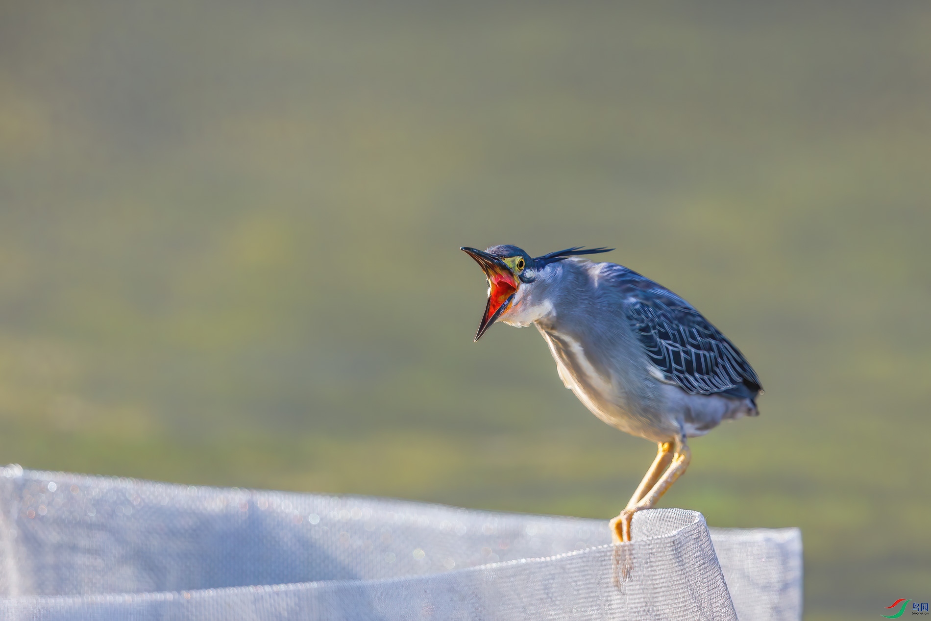 AQ4P0904-1.jpg
