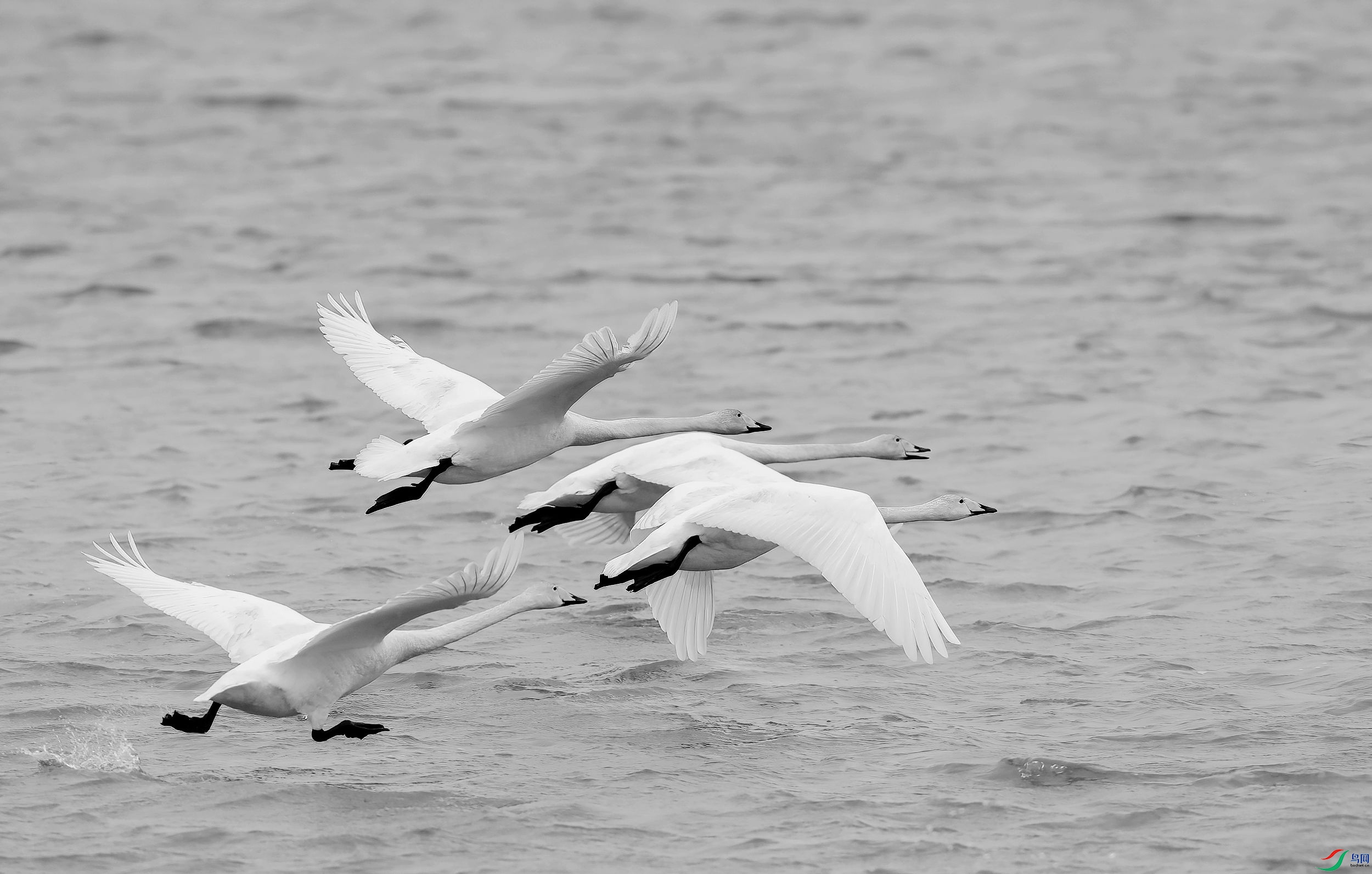 AC3I0031 ����_����.jpg