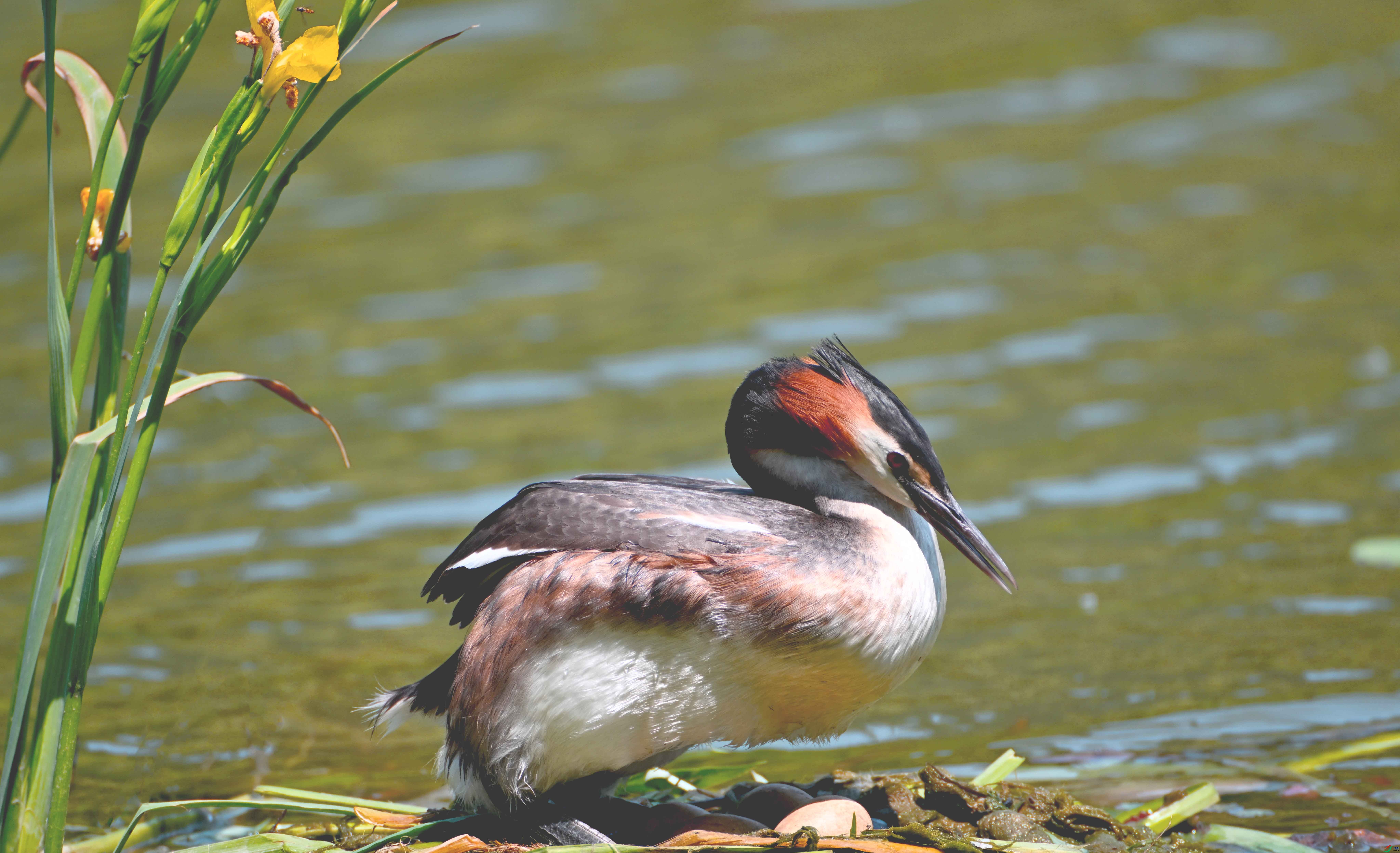 DSC_1640 ����.jpg