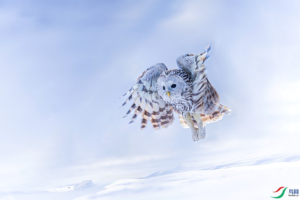 nmghleR3250303 (225)_DxO.jpg