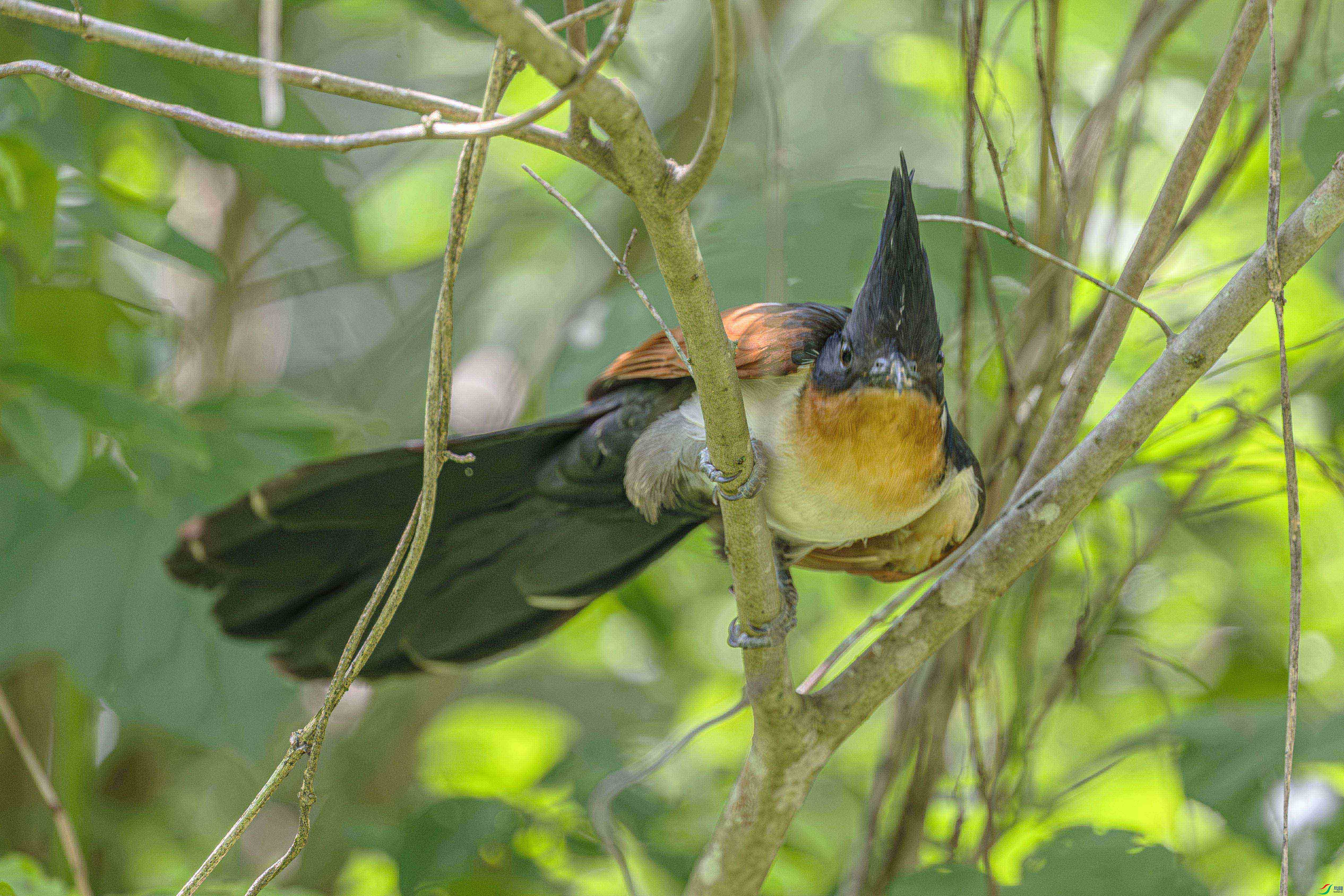 DSC_5863-����ǿ-NR ����.jpg