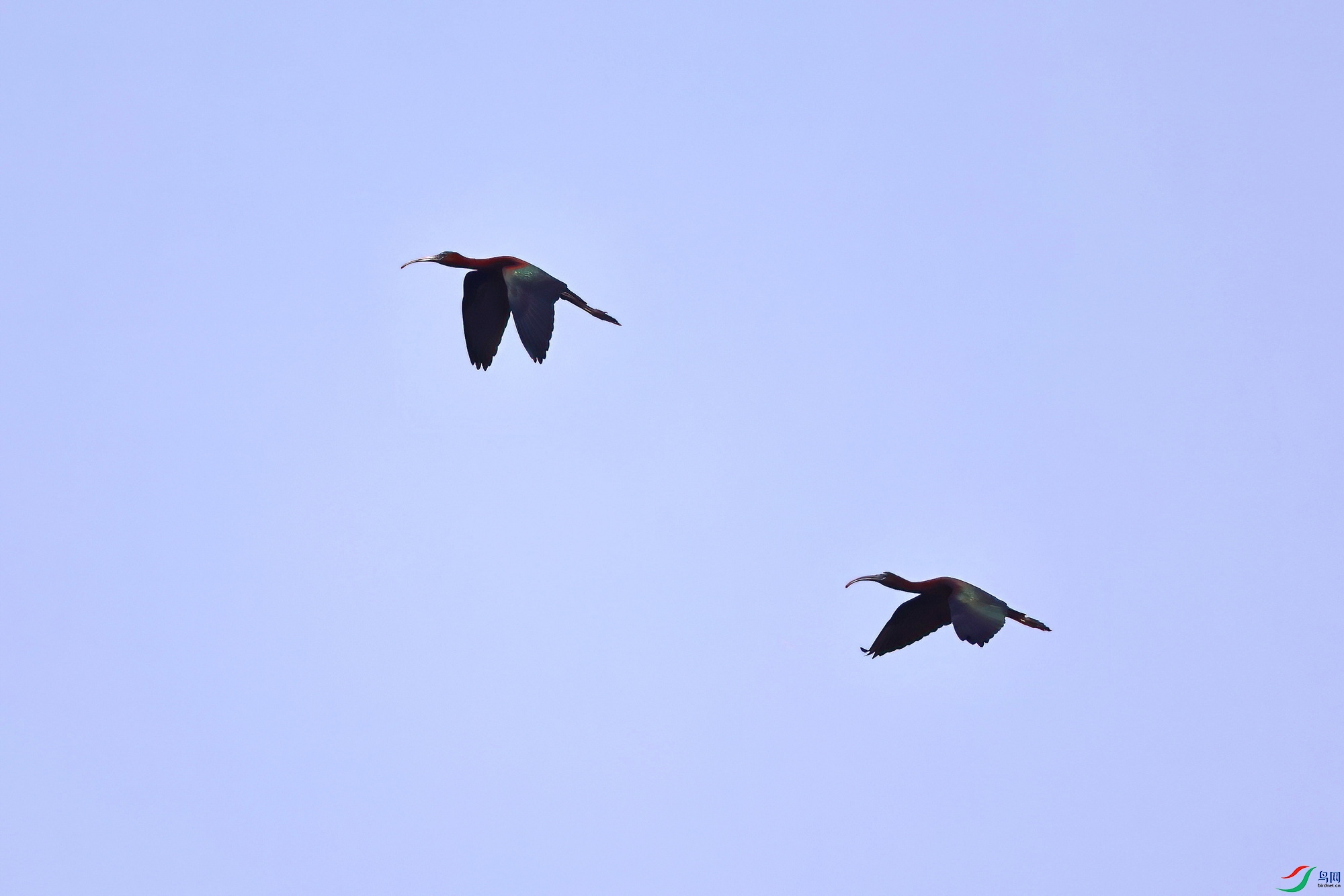IMG_4338-1.JPG