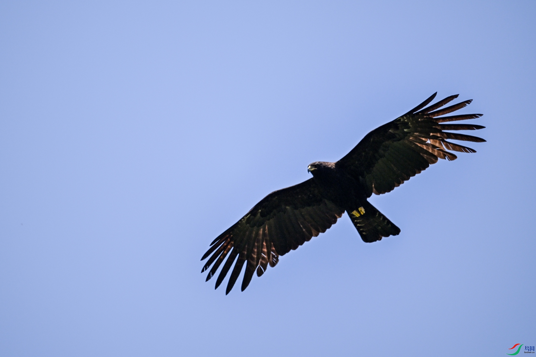 DSC_5107.JPG
