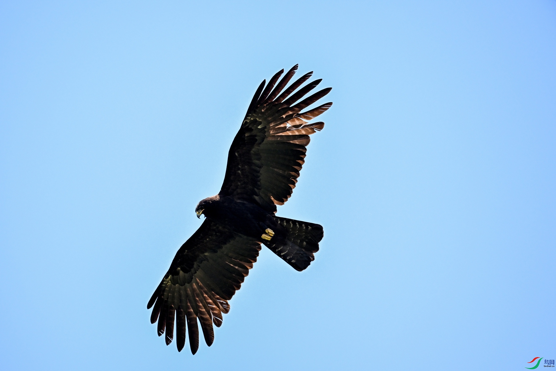 DSC_5113.JPG