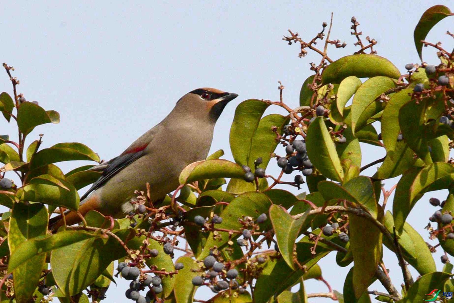 DSC_7328.JPG
