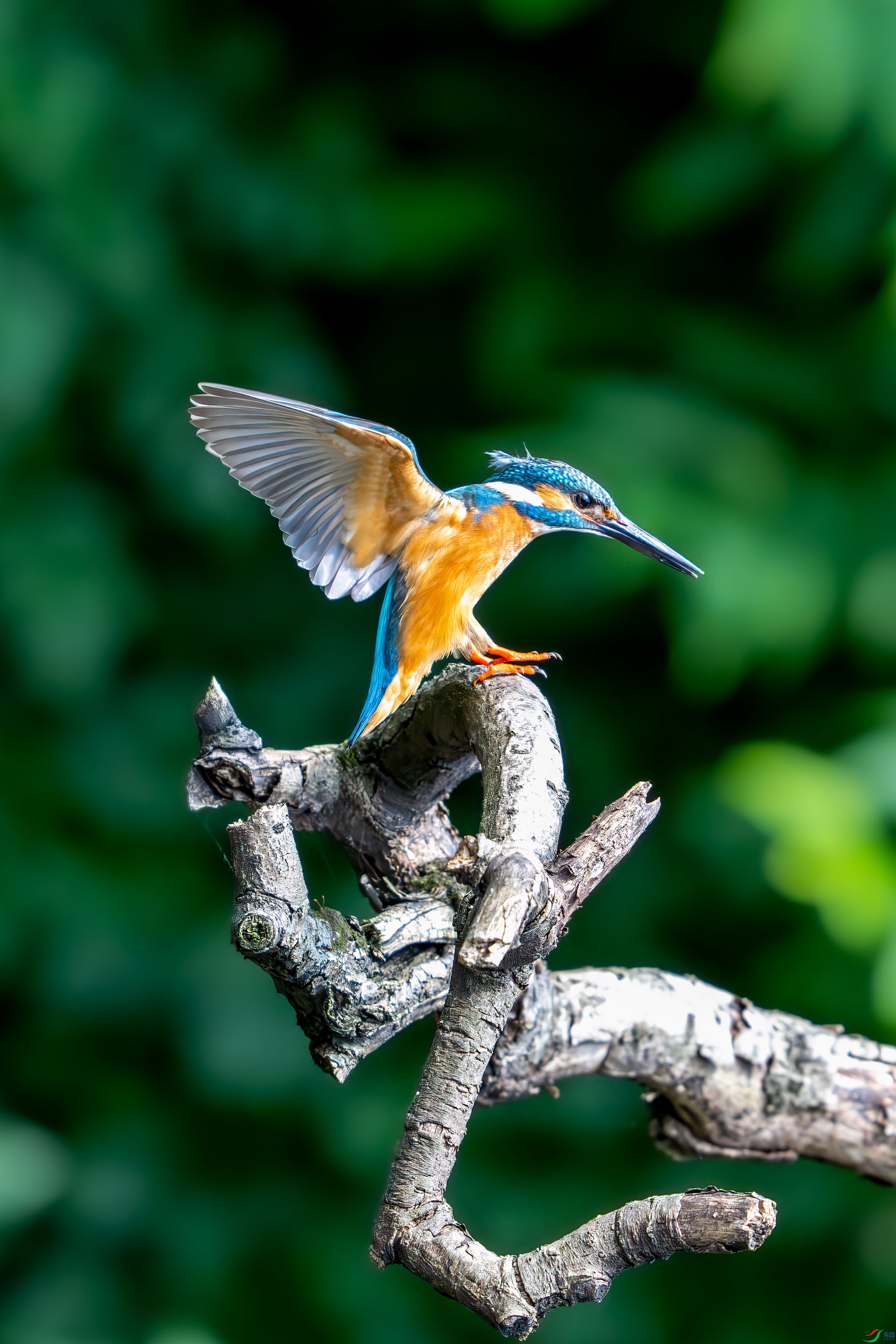 _DSC8182.jpg