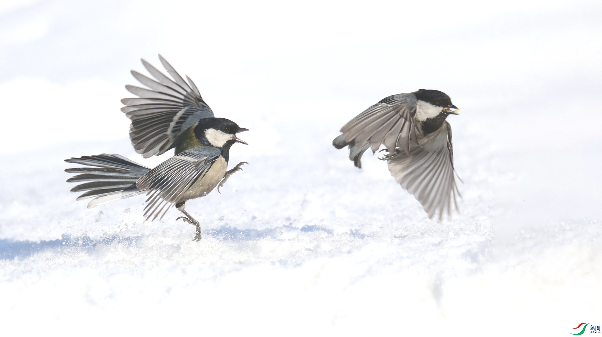 0G1A6044 ����.jpg