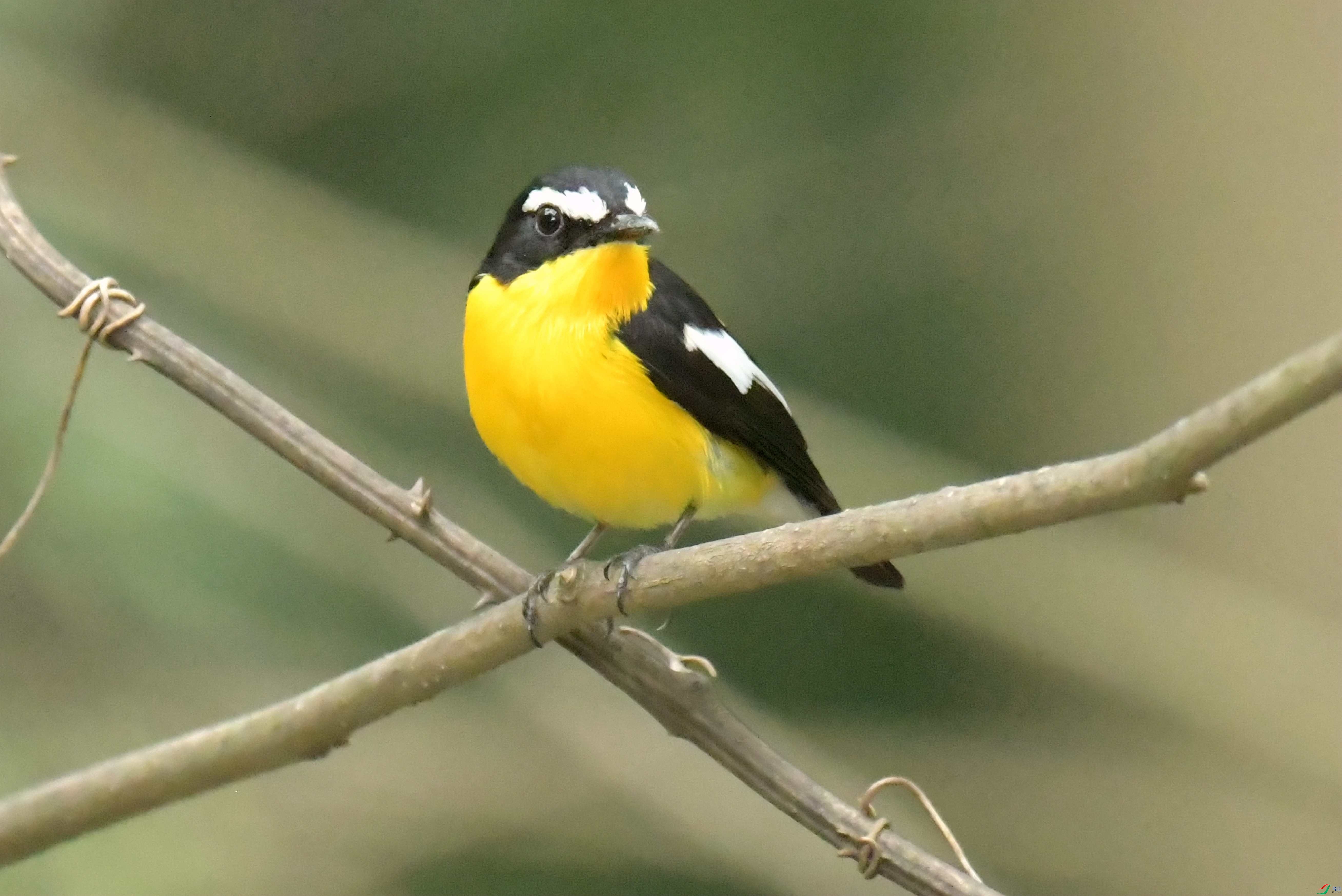 DSC_6941.JPG