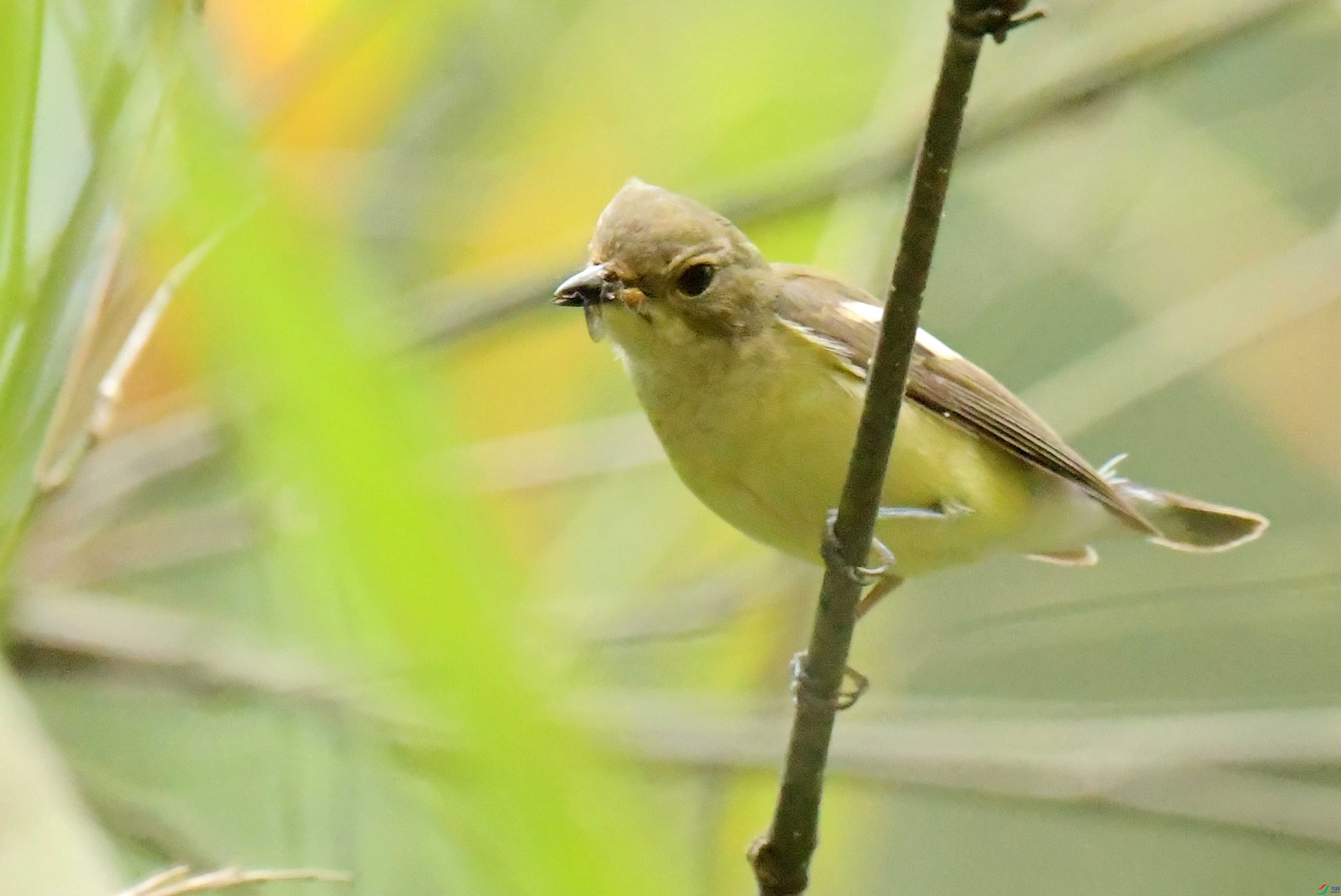 DSC_7113.JPG