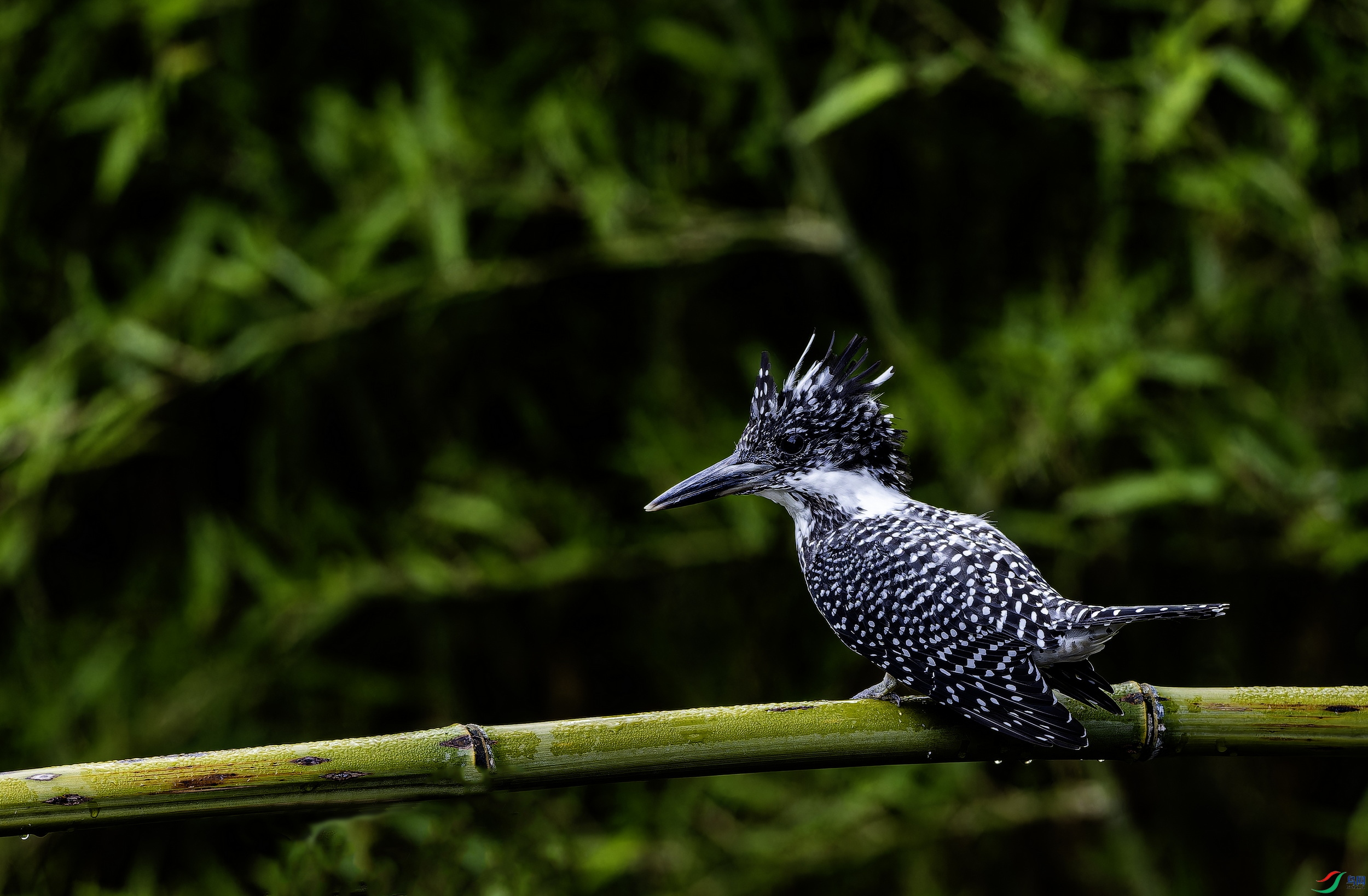 ���㹷 (1)-1.jpg