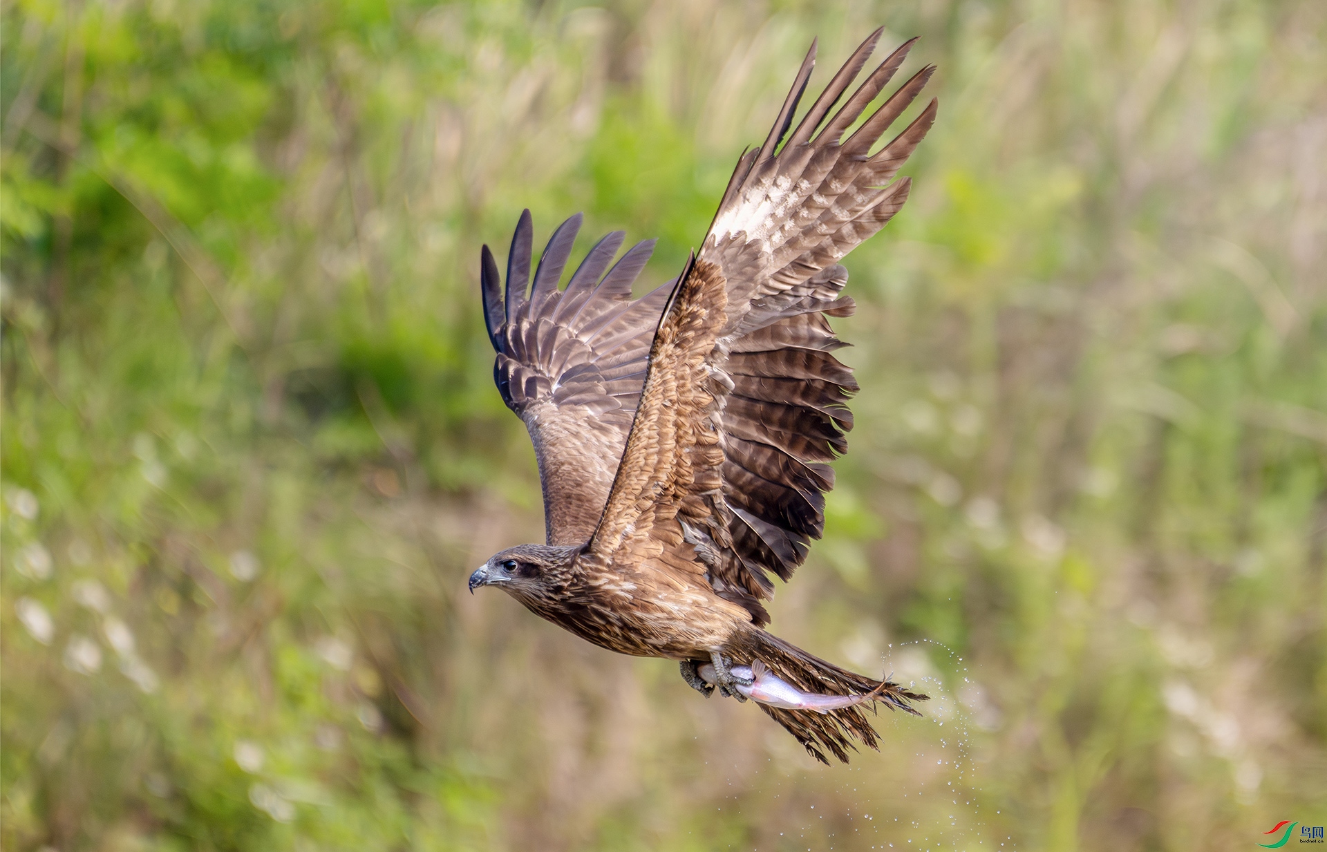 ���簲�� �ؼҹ���.jpg