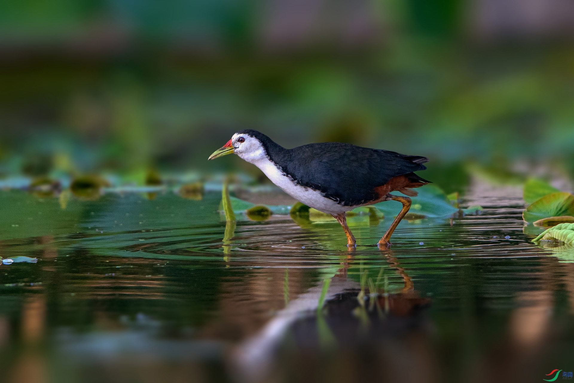 _AUU3290(24.5.6).jpg
