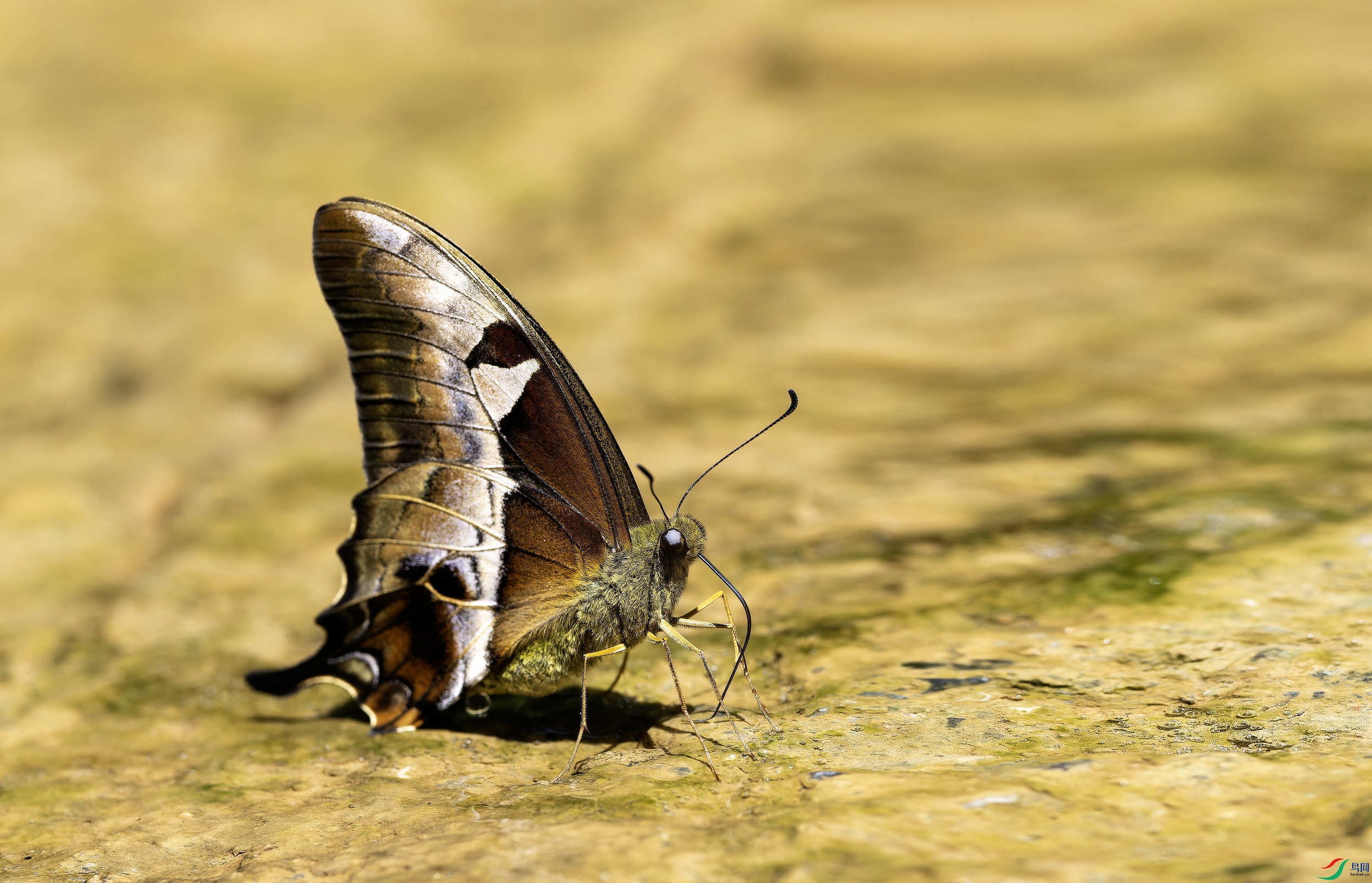 �ֹ���� (443)-01.jpg