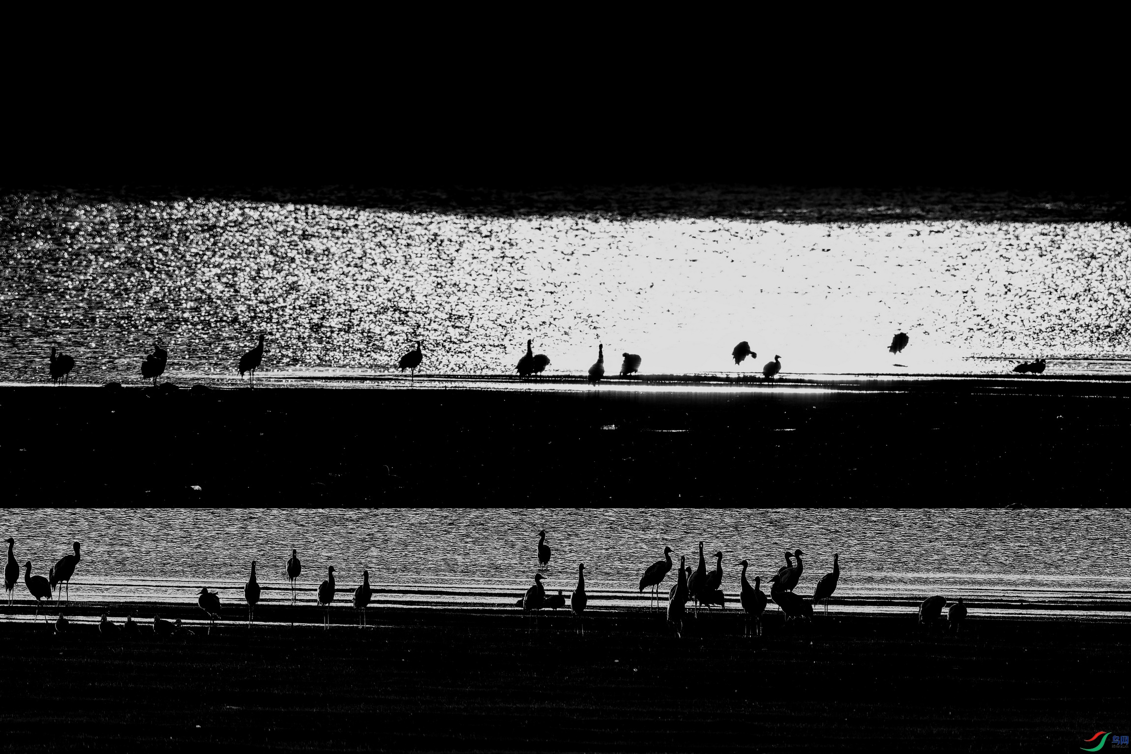 �ھ��� (3)-1-01.jpg