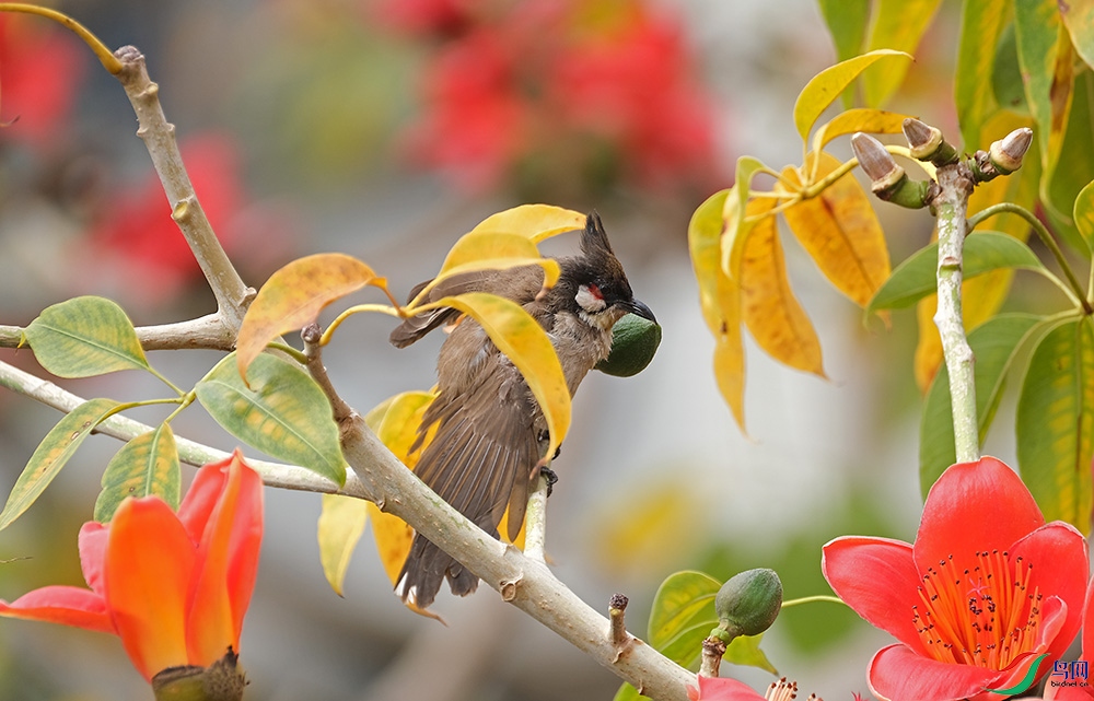 DSCF6618.1.jpg