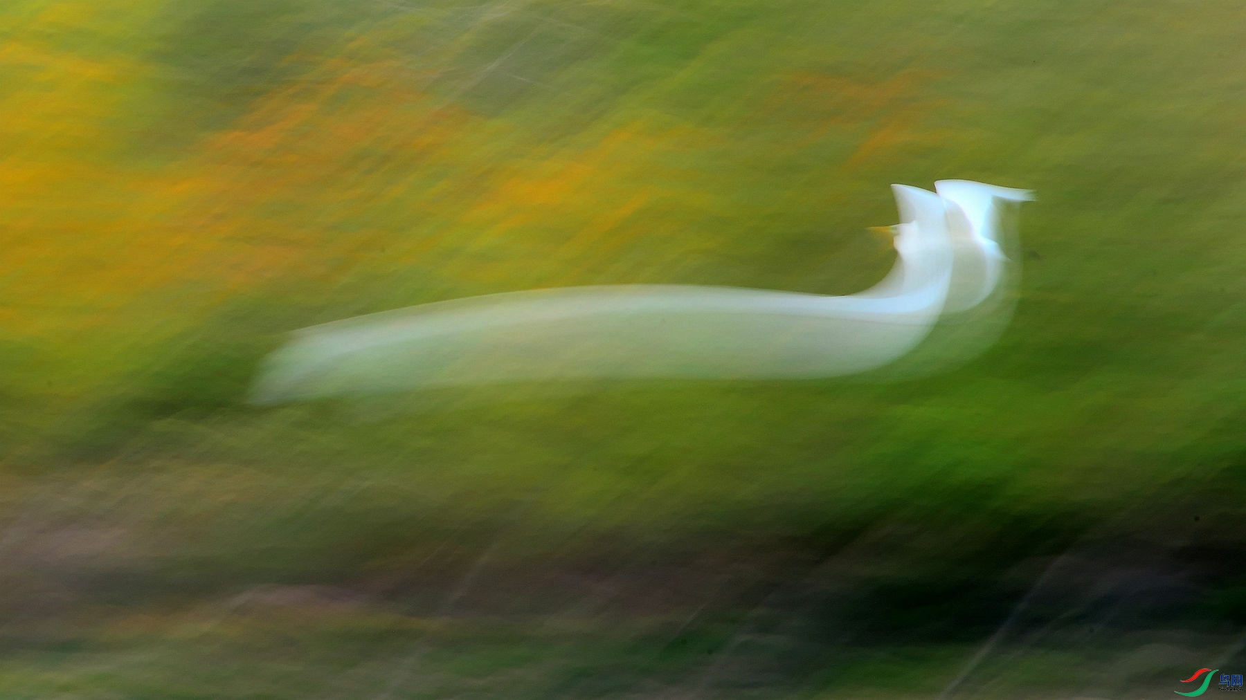 DSC_8242_��ͷ�ǰ�.jpg
