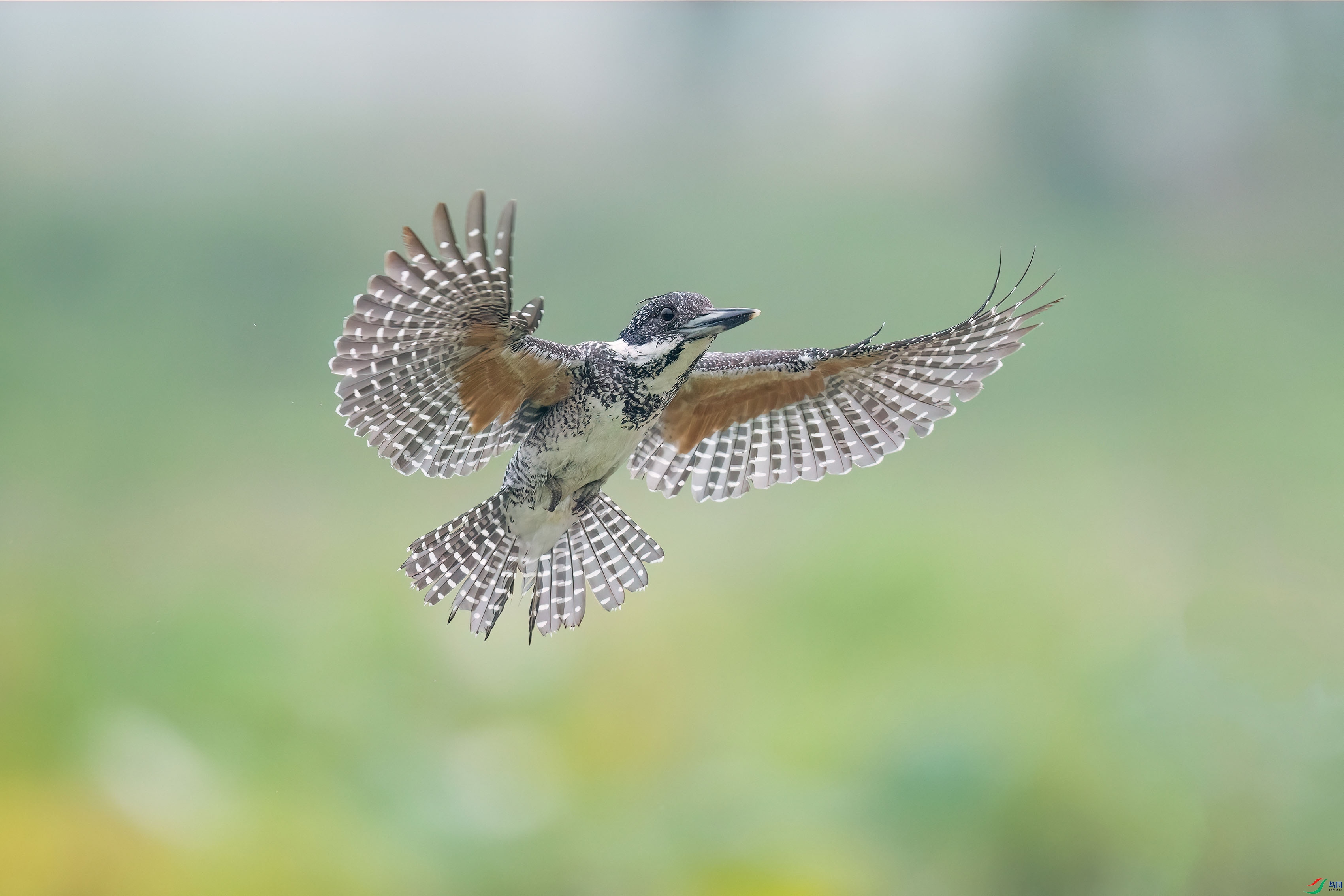 DSC_73331.jpg