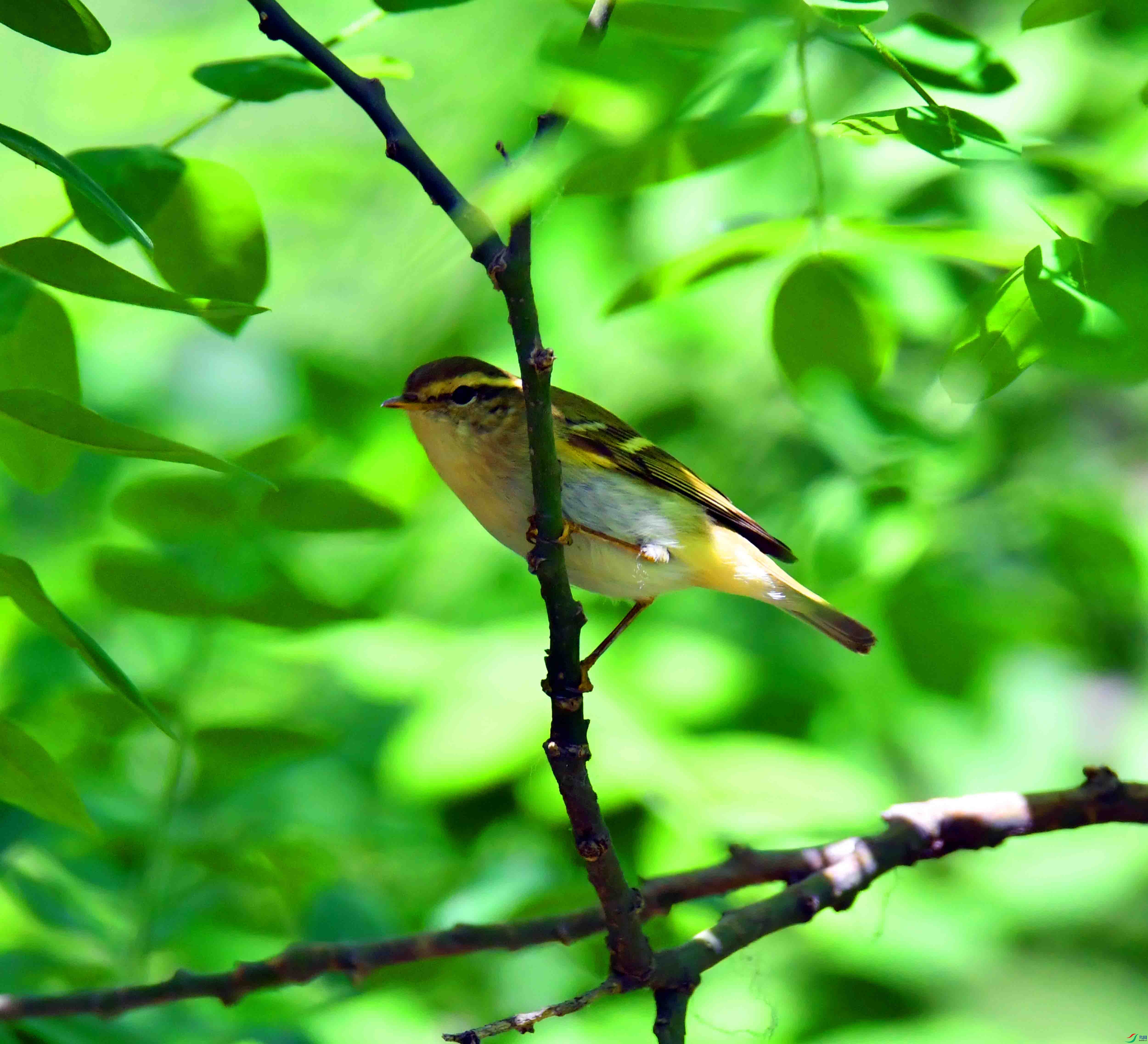 DSC_0465.JPG
