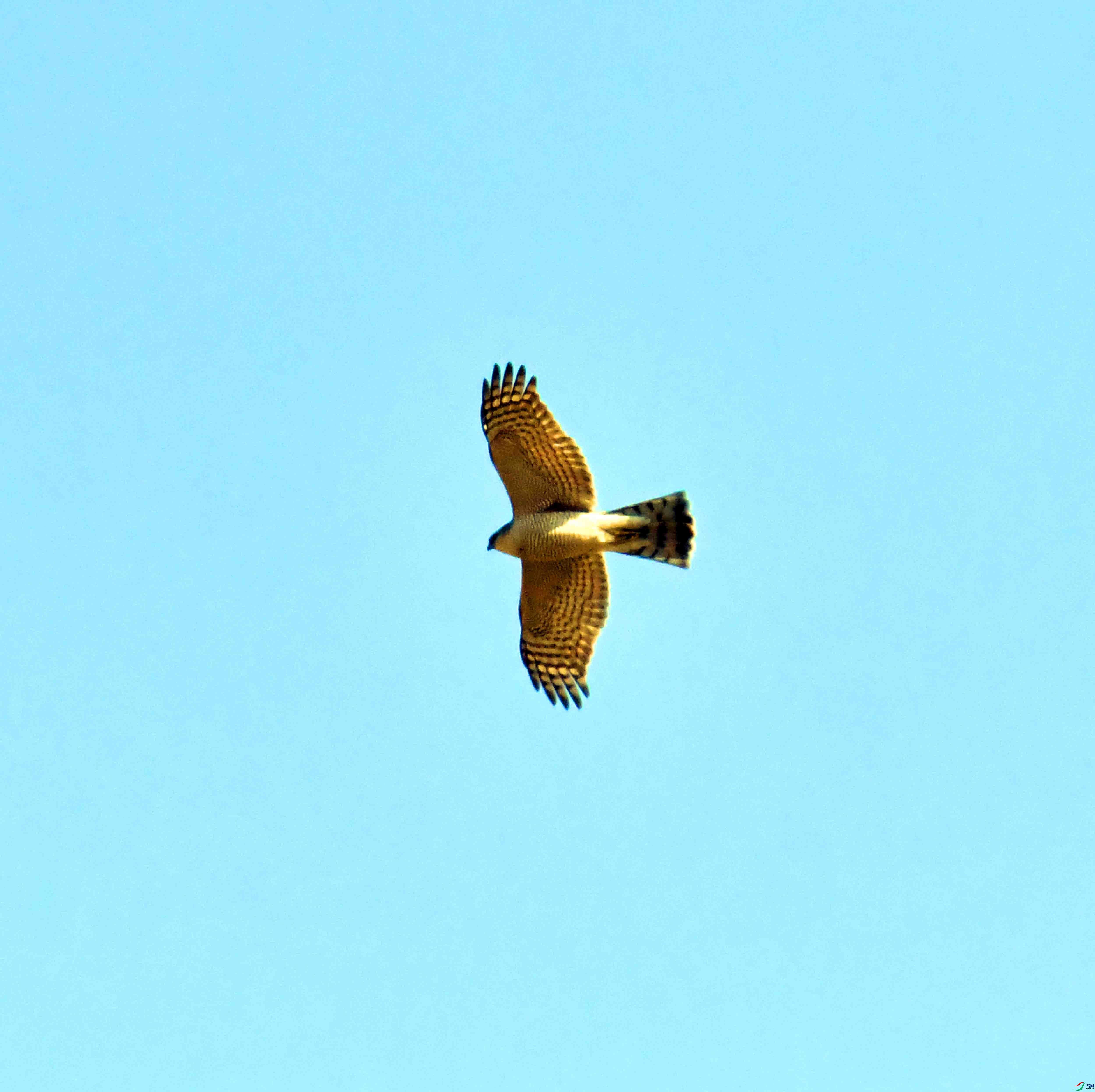 DSC_1082.JPG