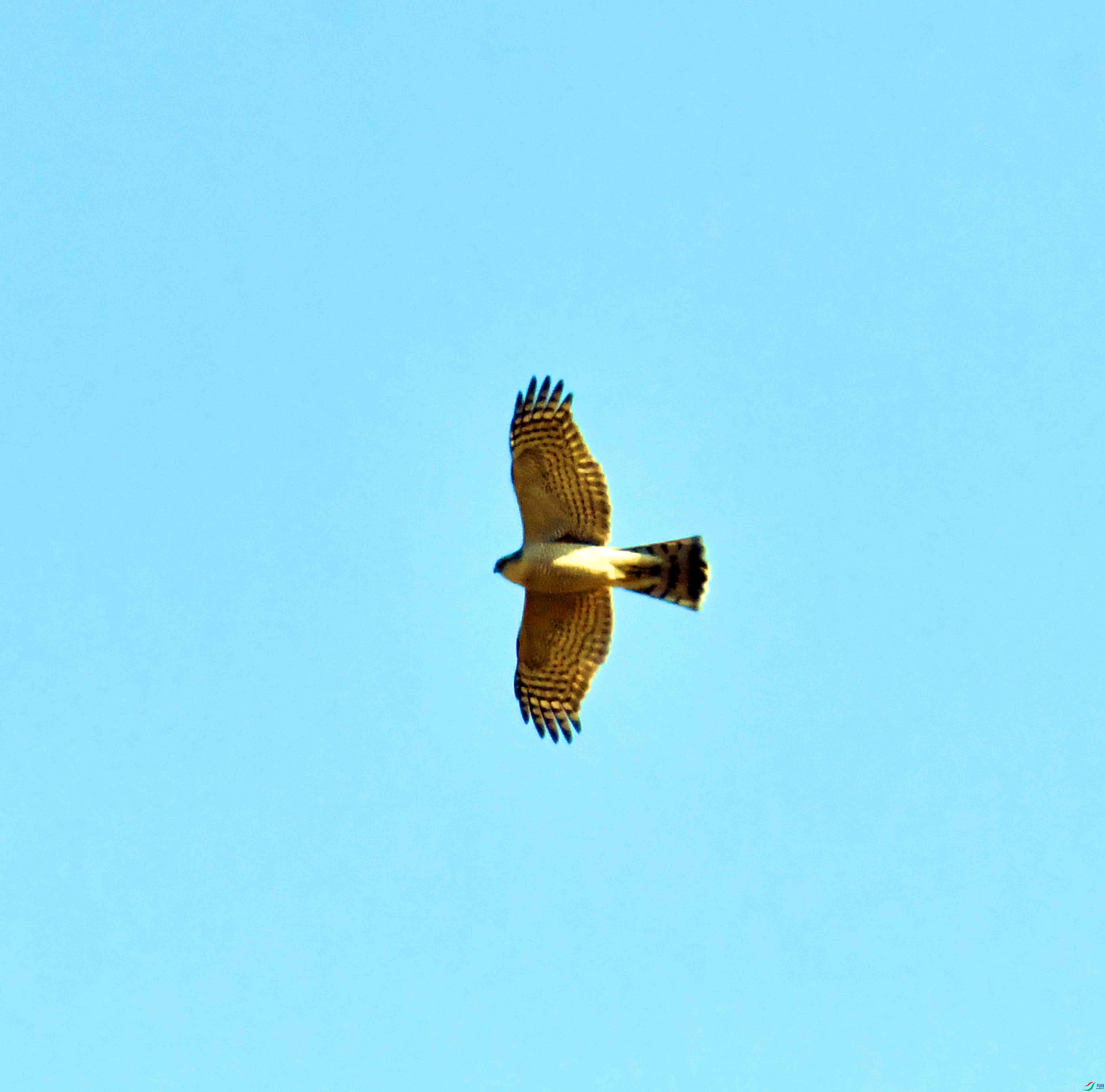 DSC_1081.JPG