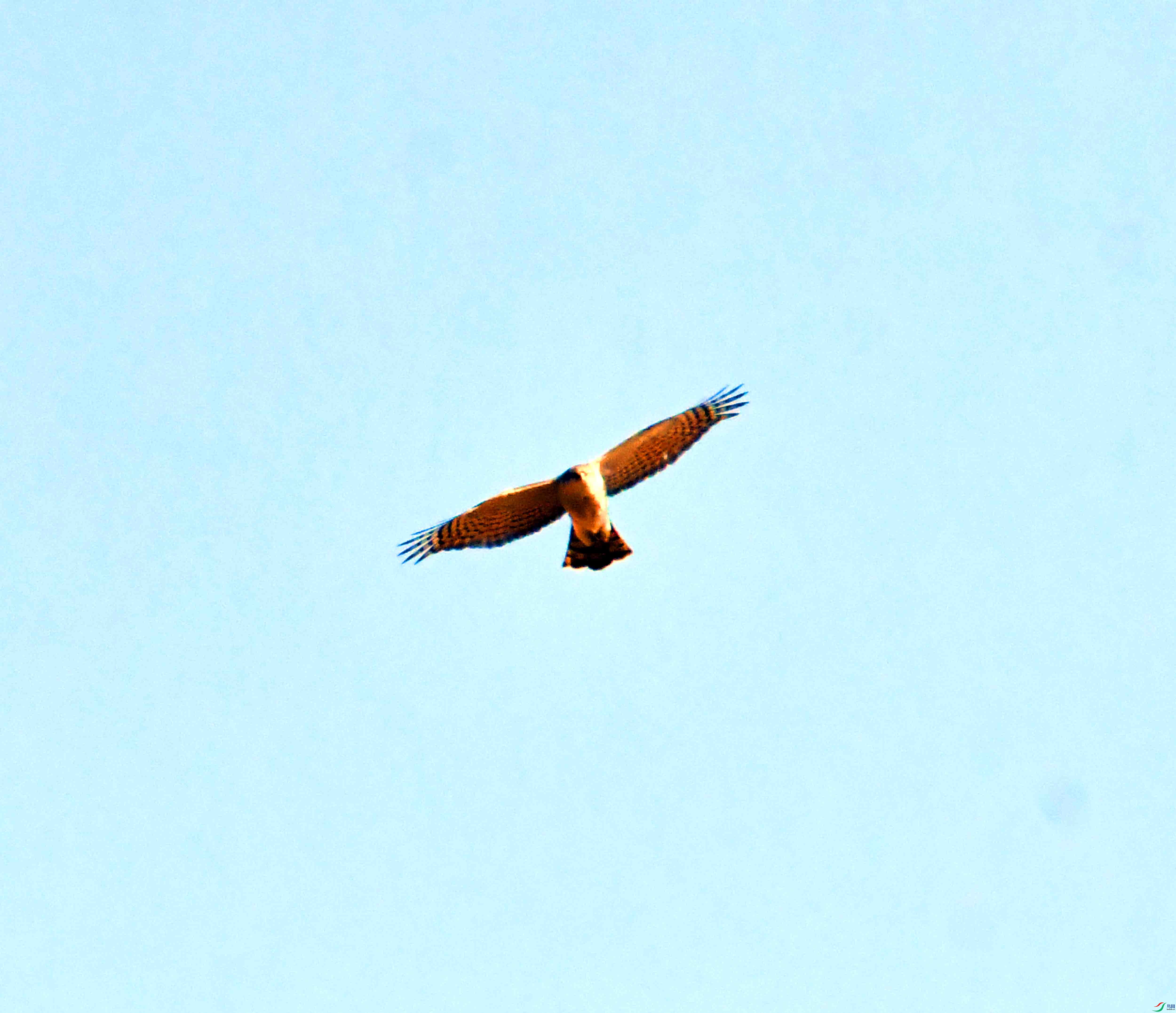 DSC_1097.JPG