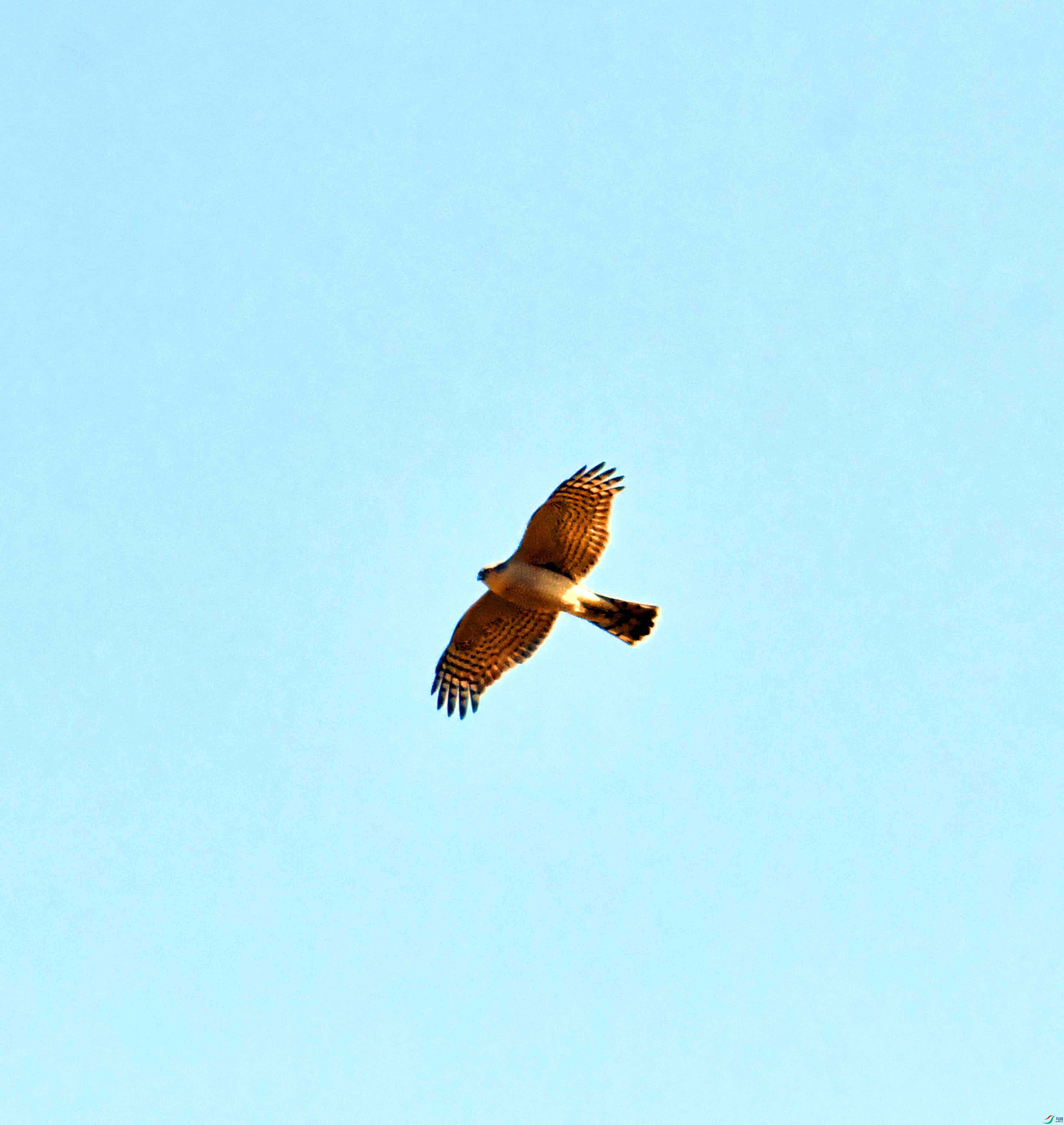 DSC_1103.JPG