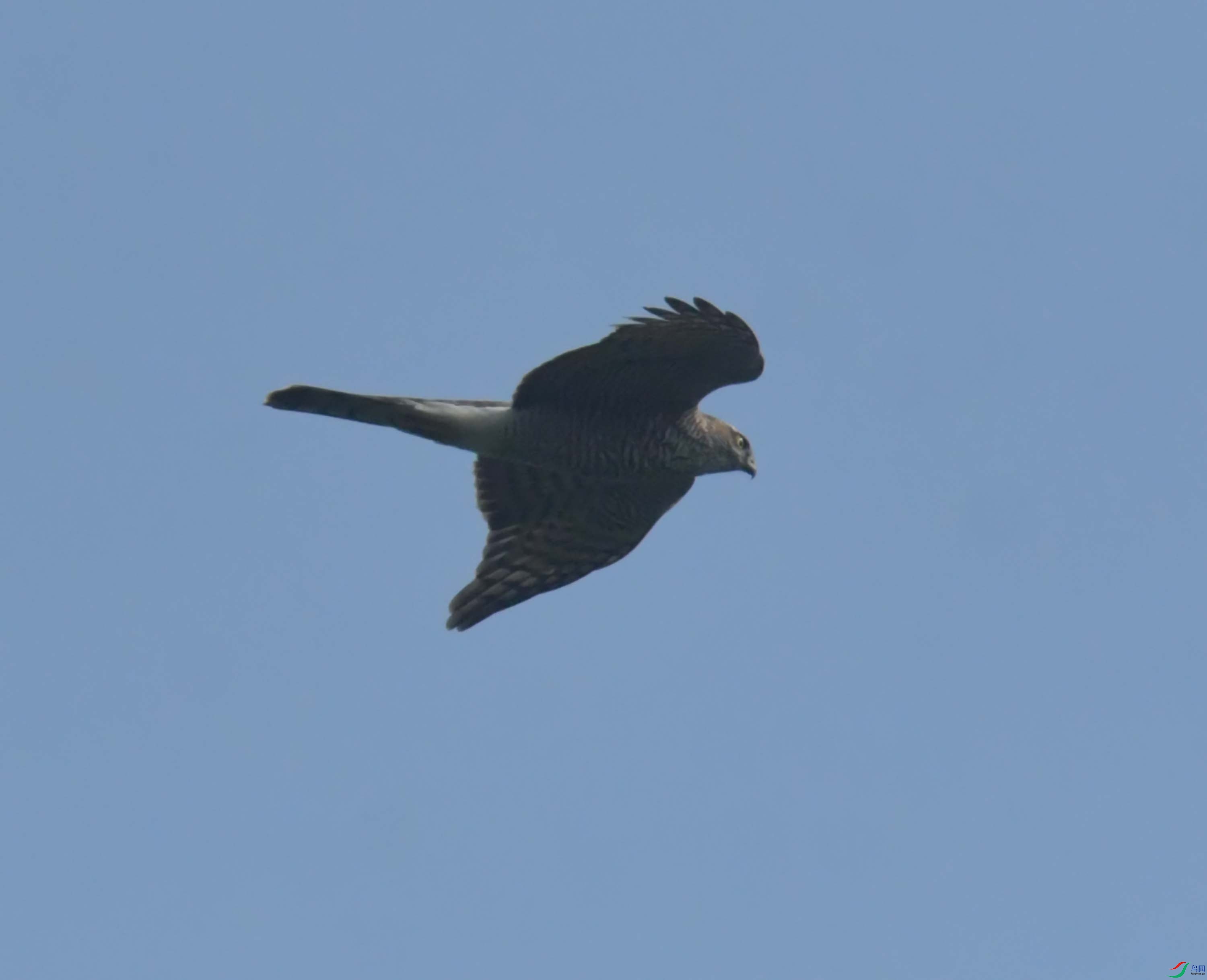 DSC_7228.JPG