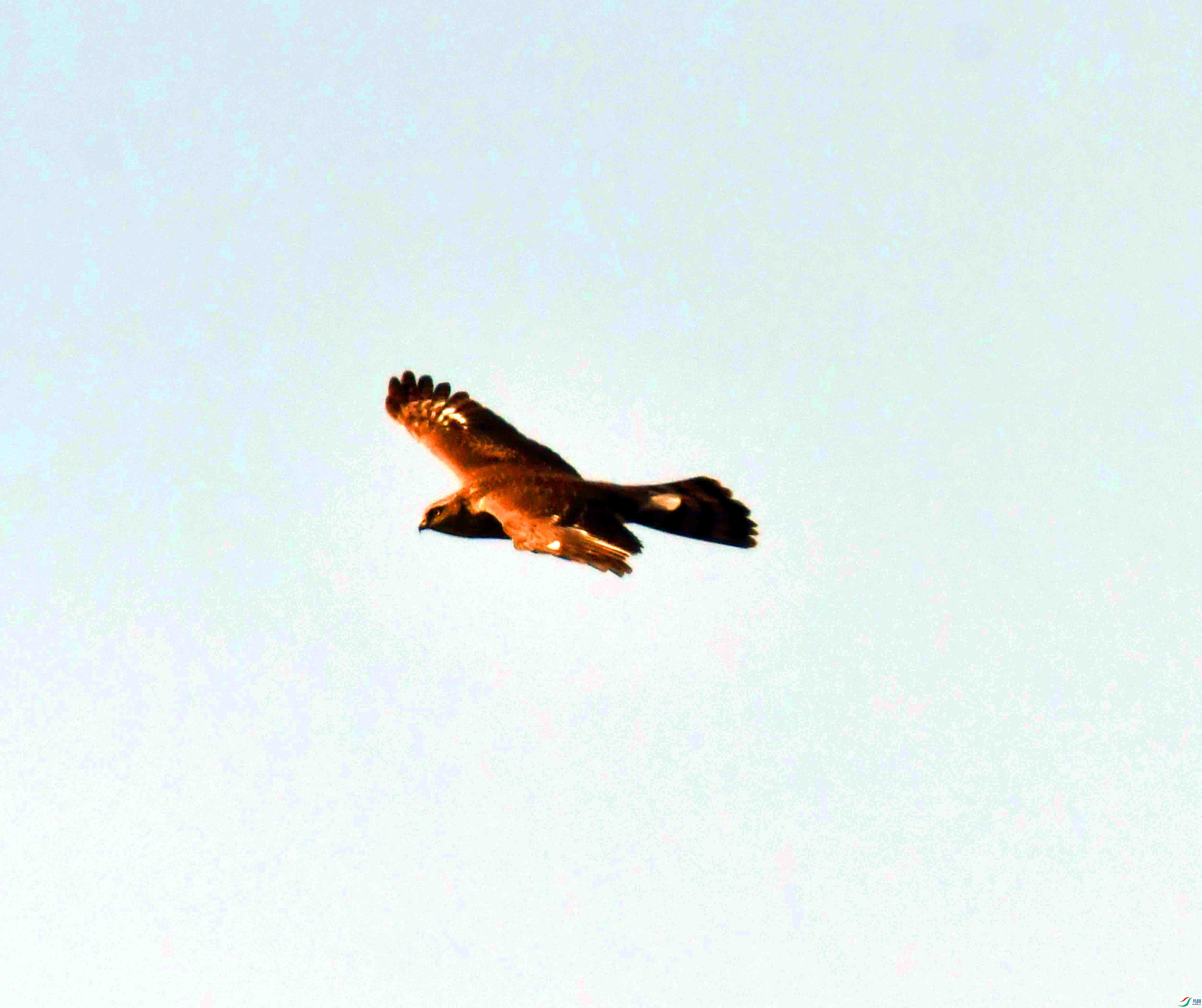 DSC_8411.JPG