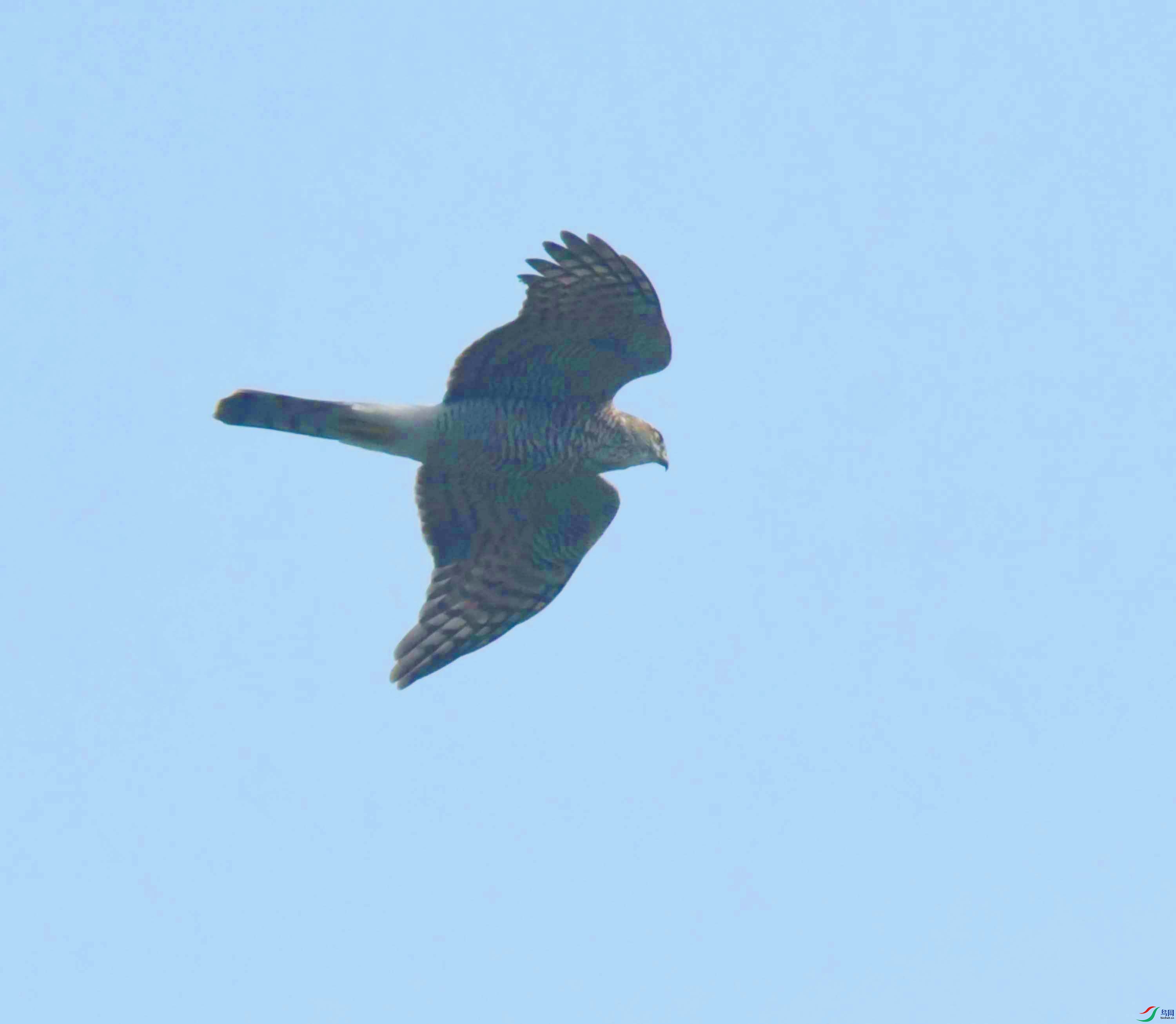 DSC_7234.JPG
