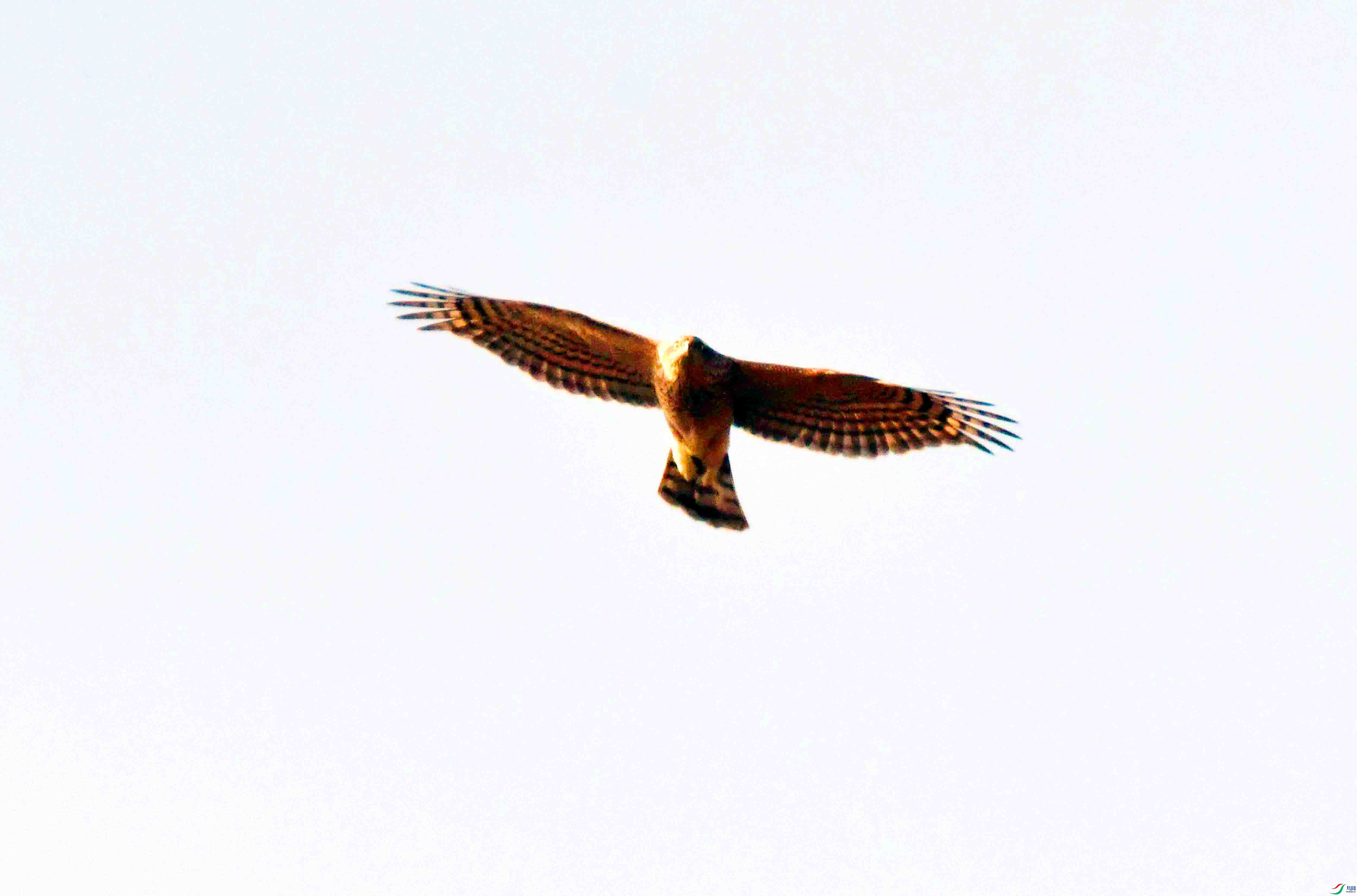 DSC_8427.JPG