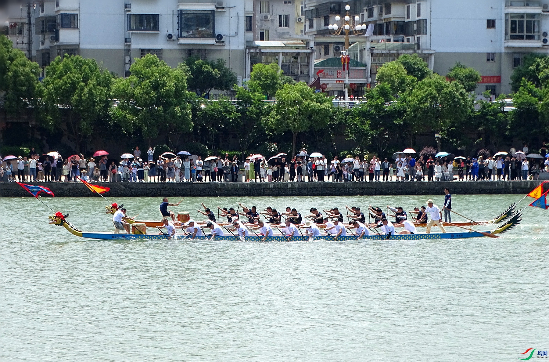 DSC07725_����.jpg